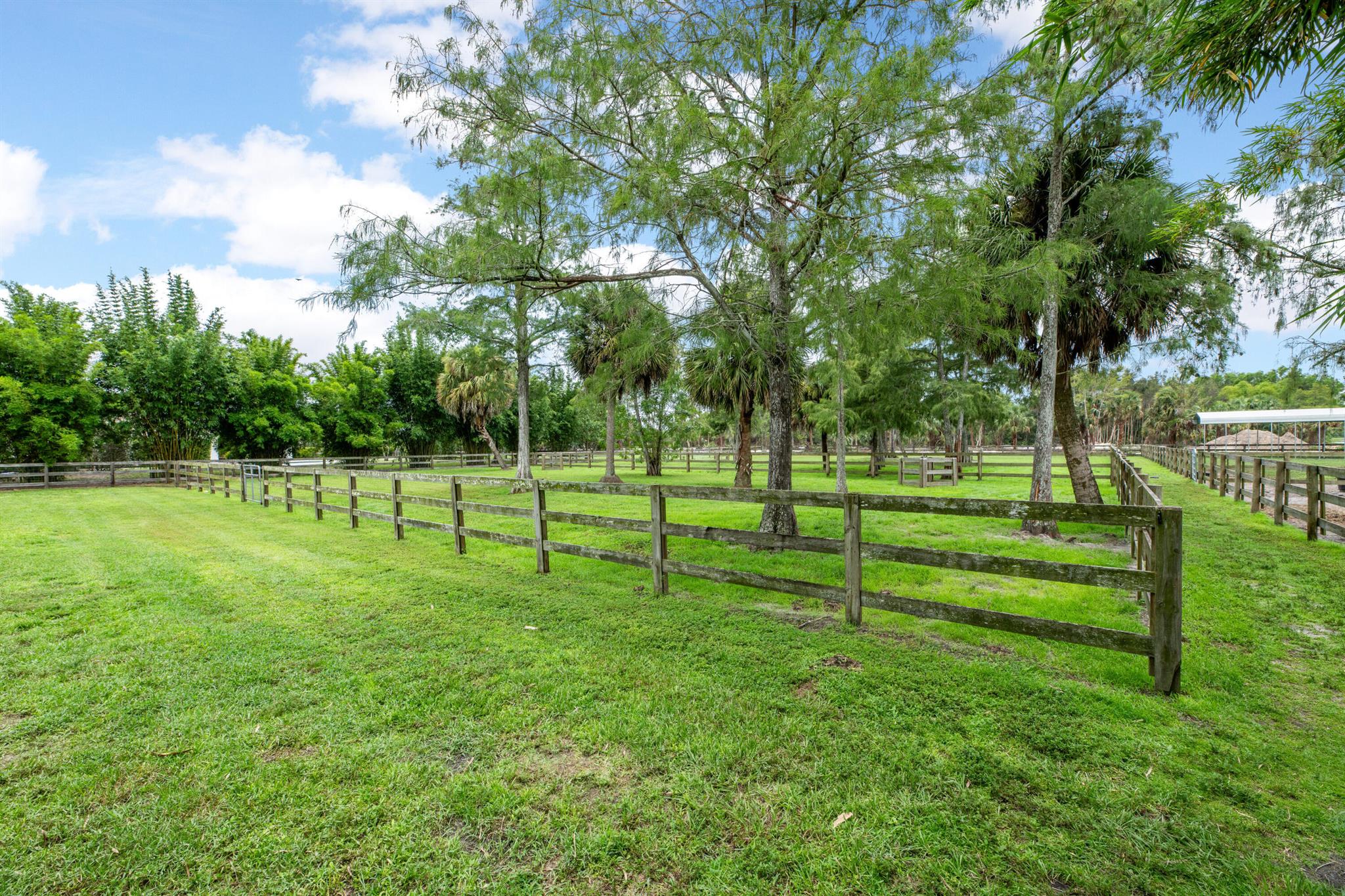 2381 Buck Ridge Trail
