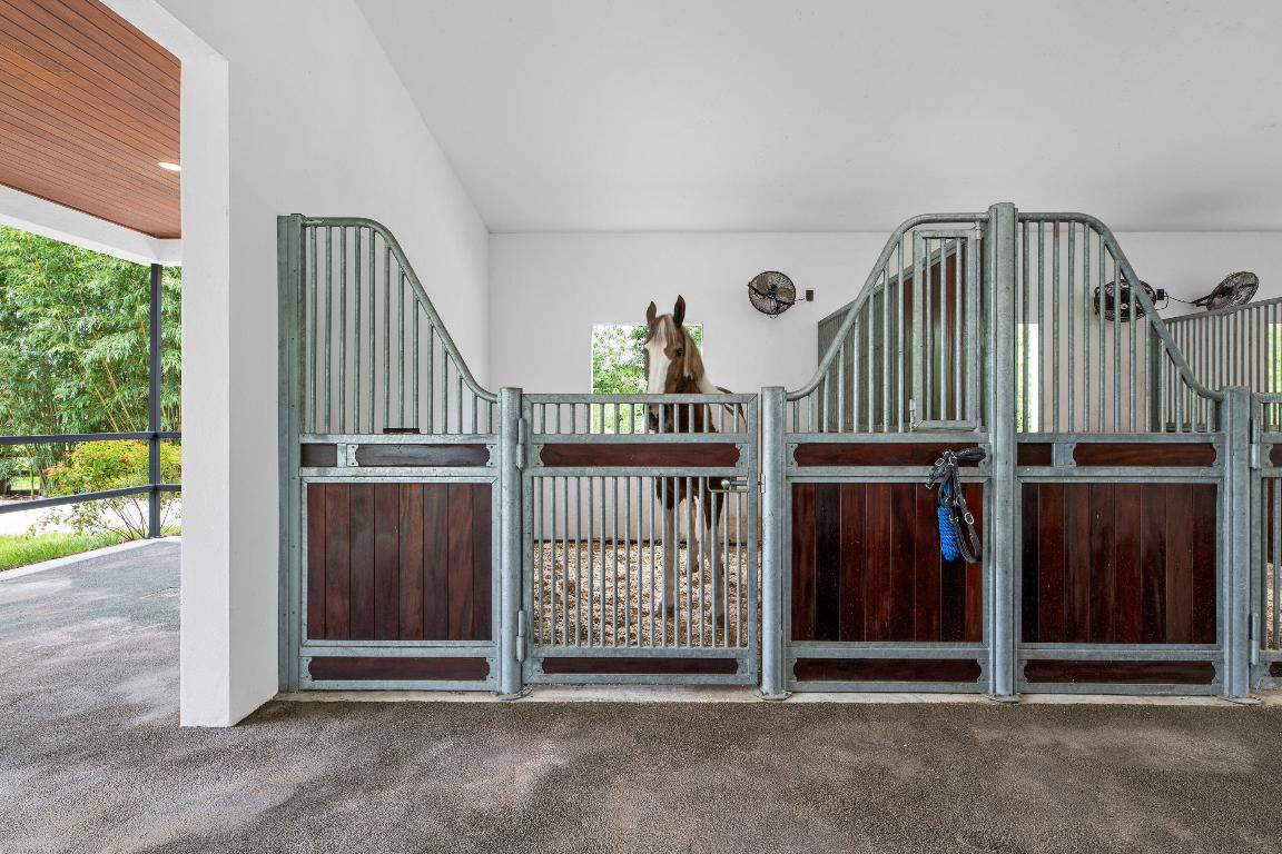 2381 Buck Ridge Trail