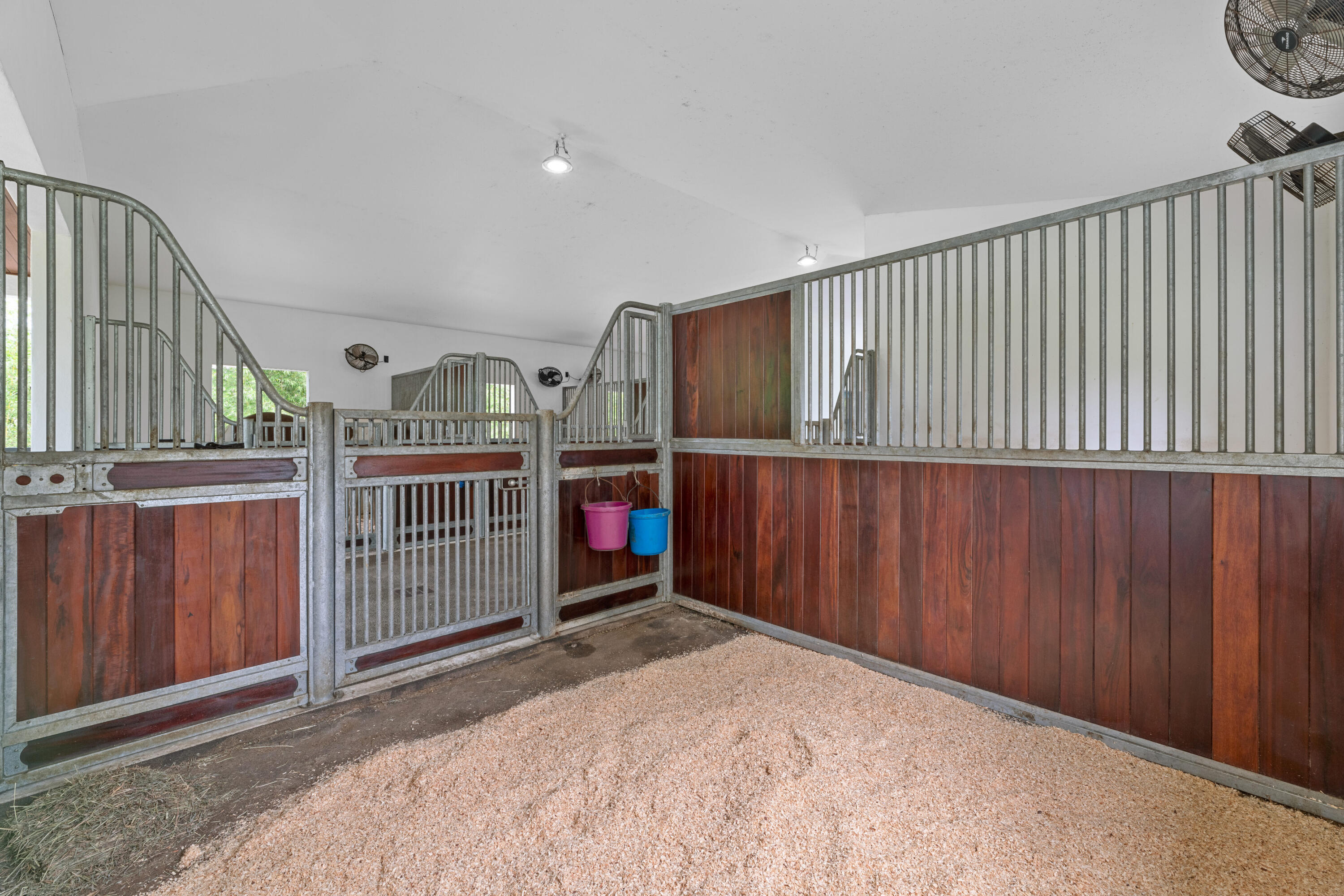 2381 Buck Ridge Trail