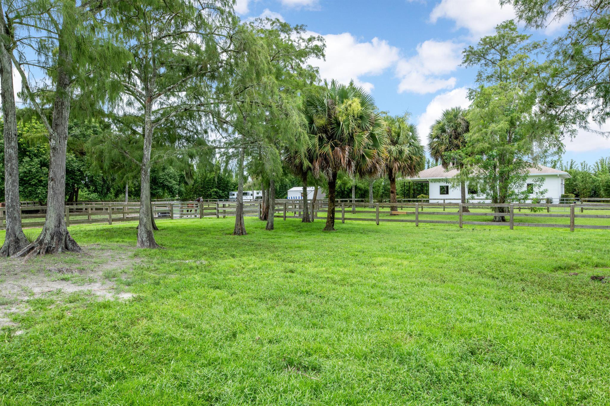 2381 Buck Ridge Trail