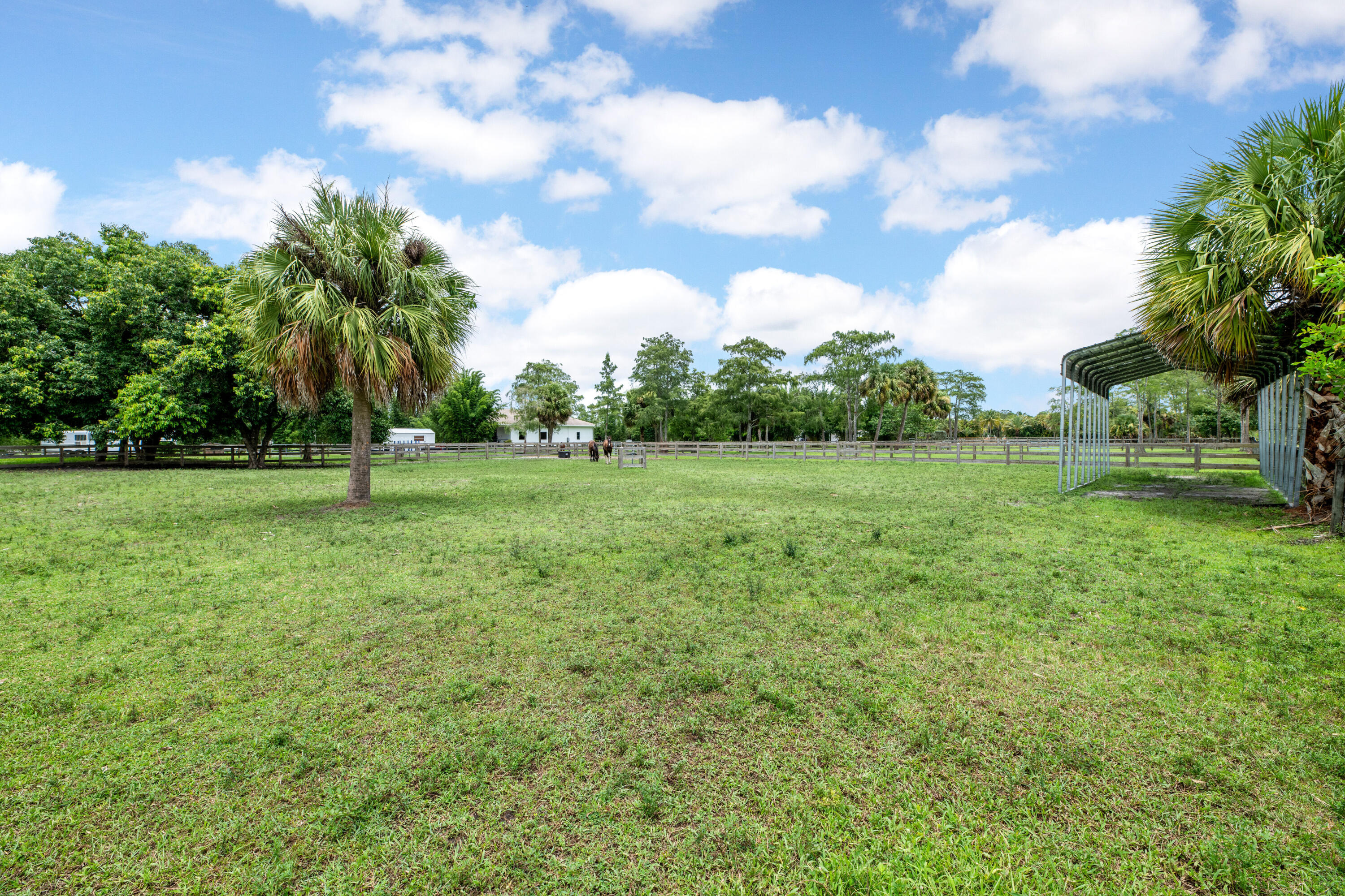 2381 Buck Ridge Trail