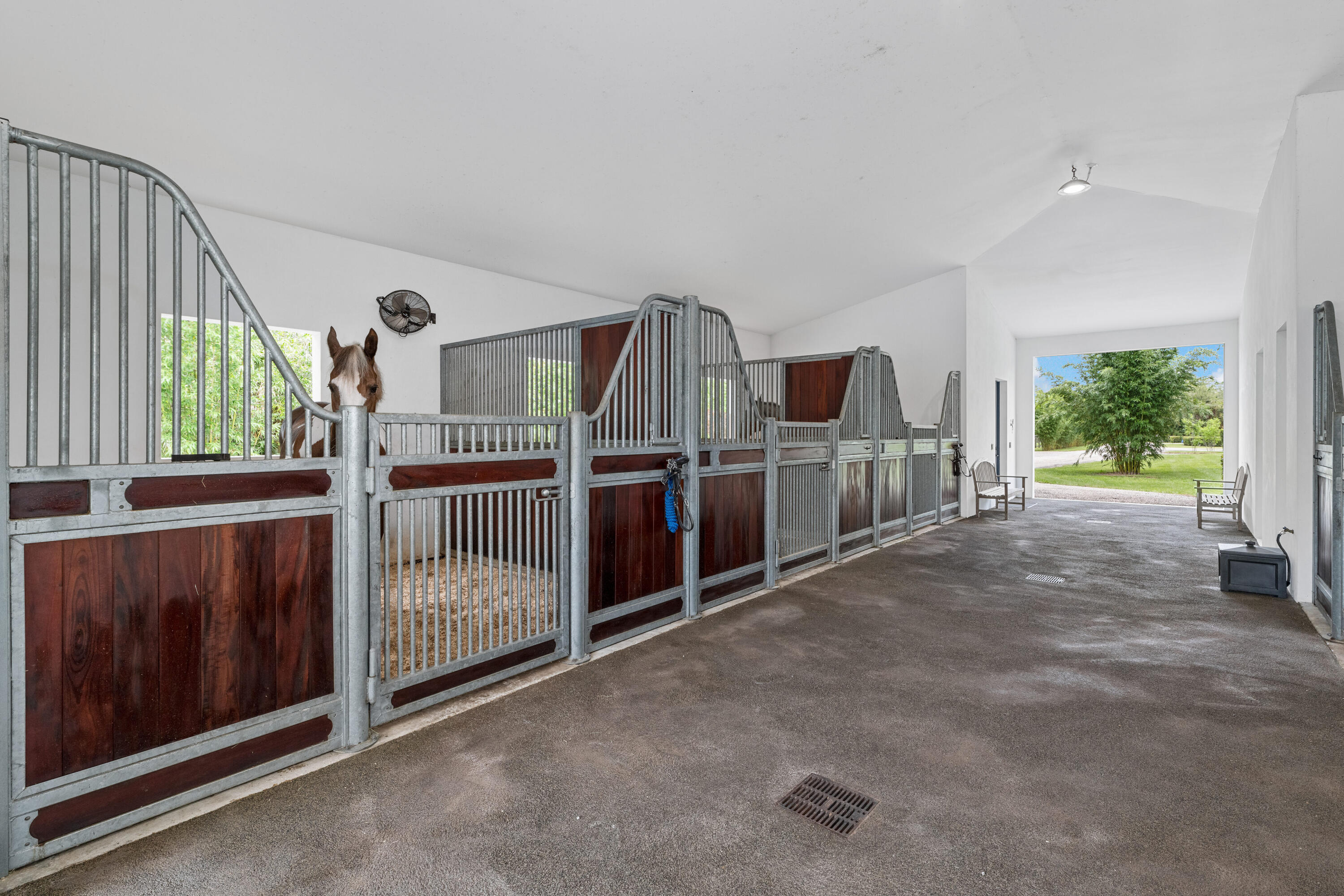 2381 Buck Ridge Trail