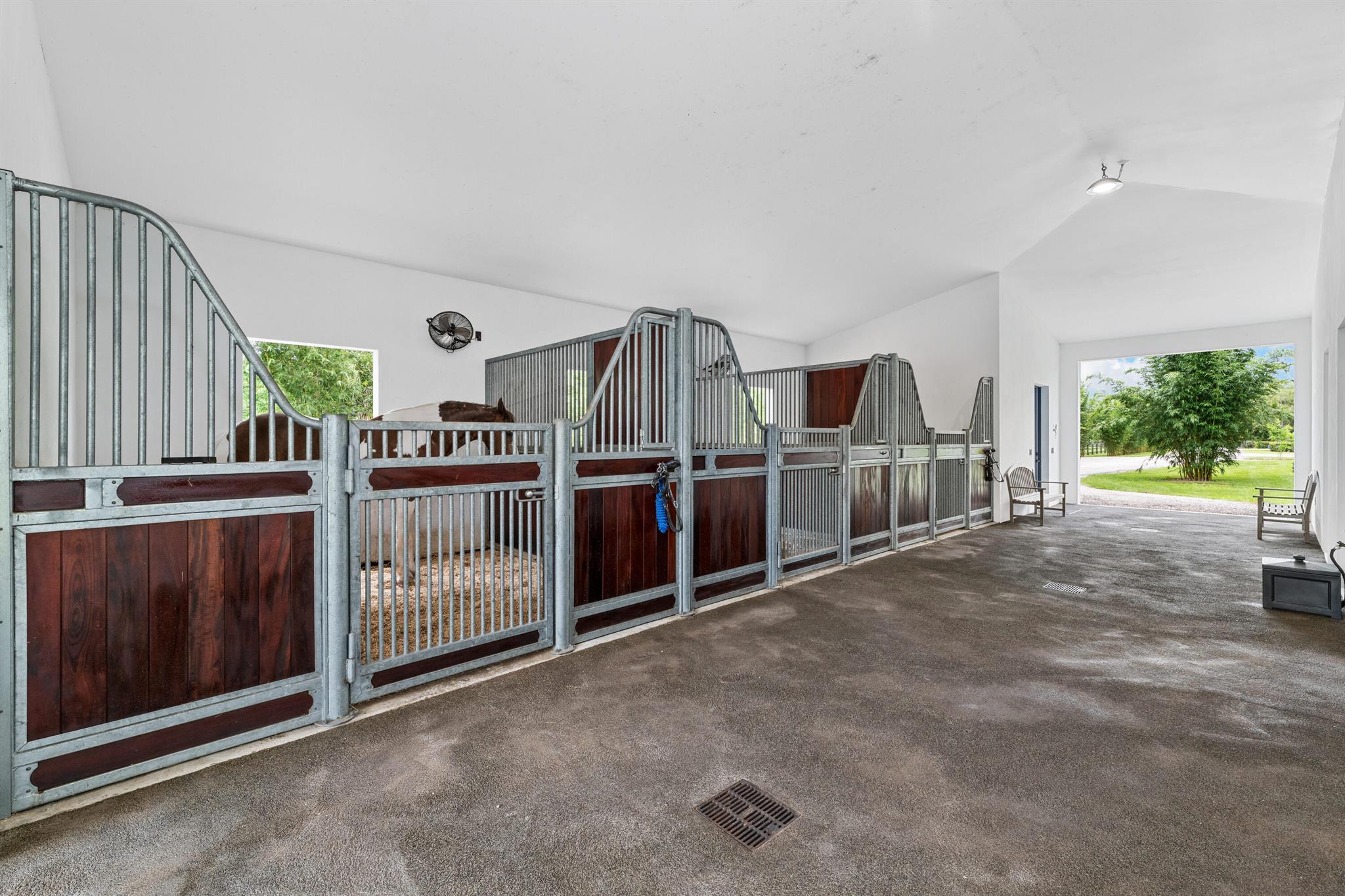 2381 Buck Ridge Trail