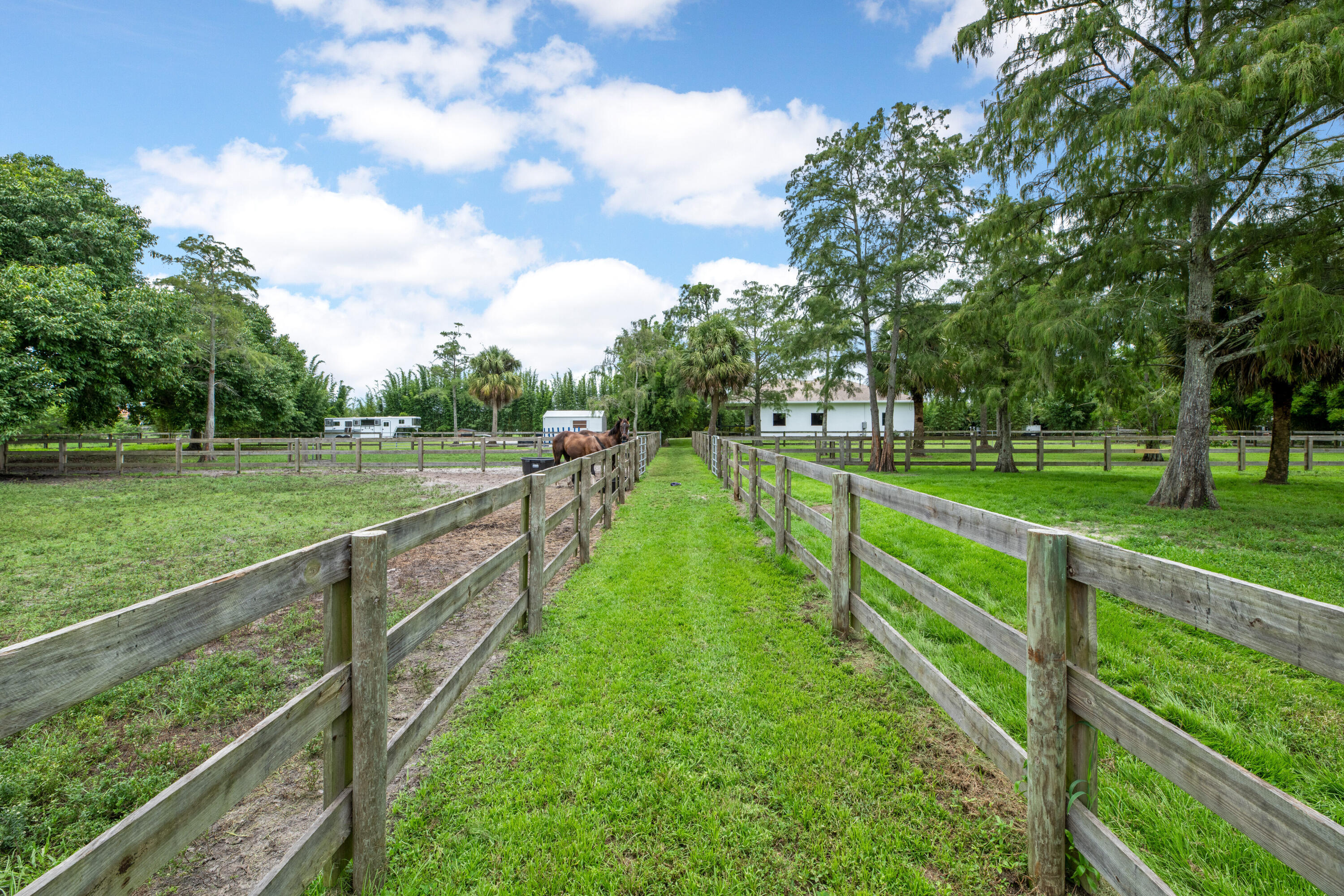 2381 Buck Ridge Trail