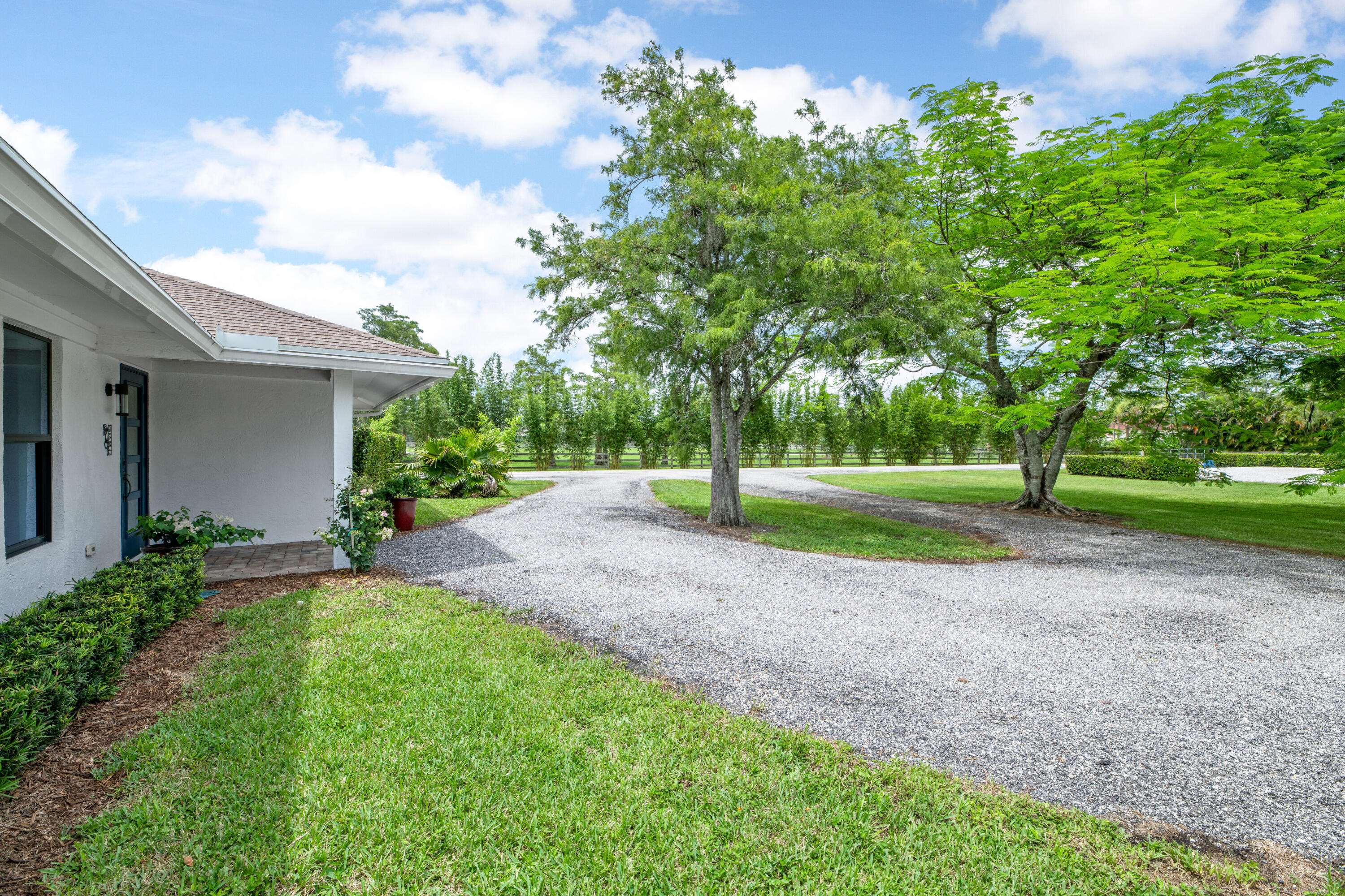 2381 Buck Ridge Trail