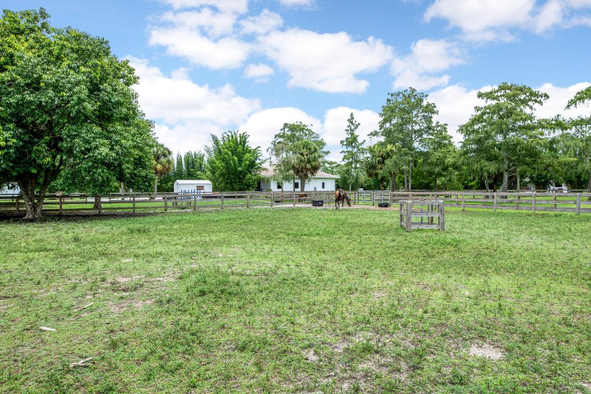 2381 Buck Ridge Trail