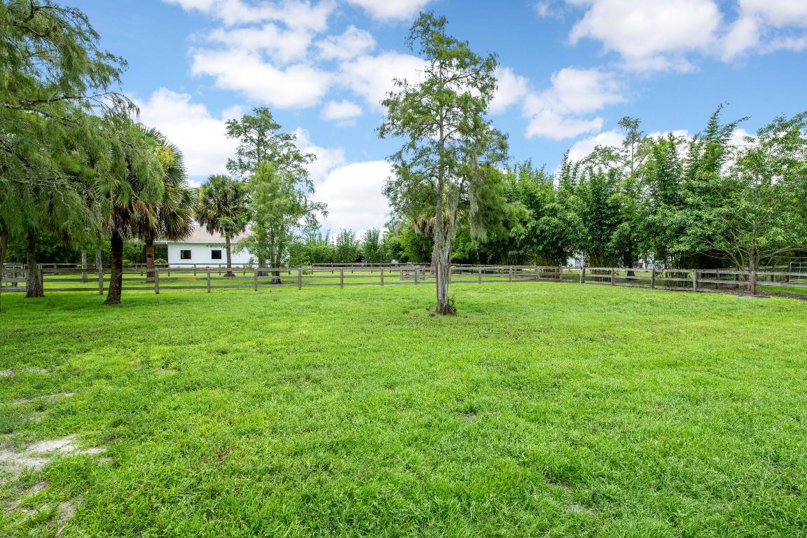 2381 Buck Ridge Trail