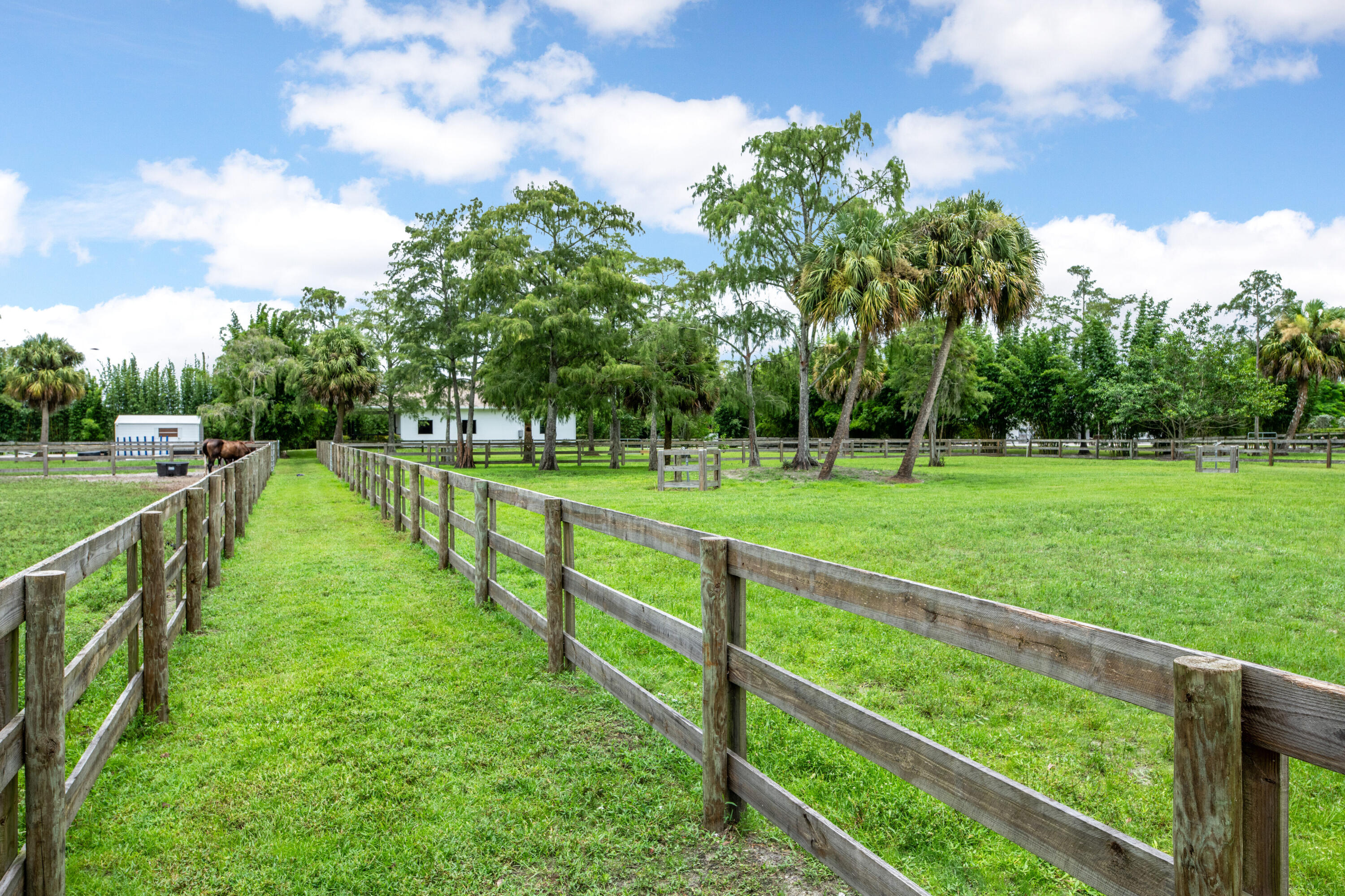 2381 Buck Ridge Trail