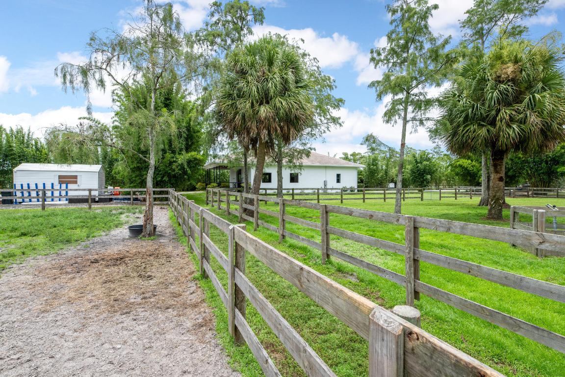 2381 Buck Ridge Trail