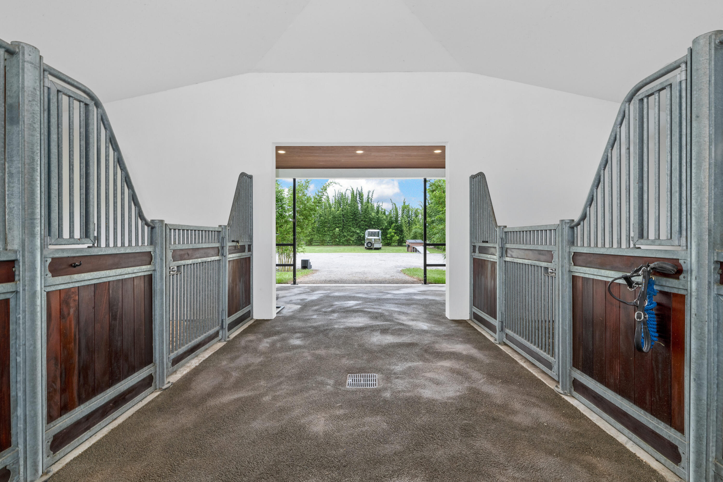 2381 Buck Ridge Trail