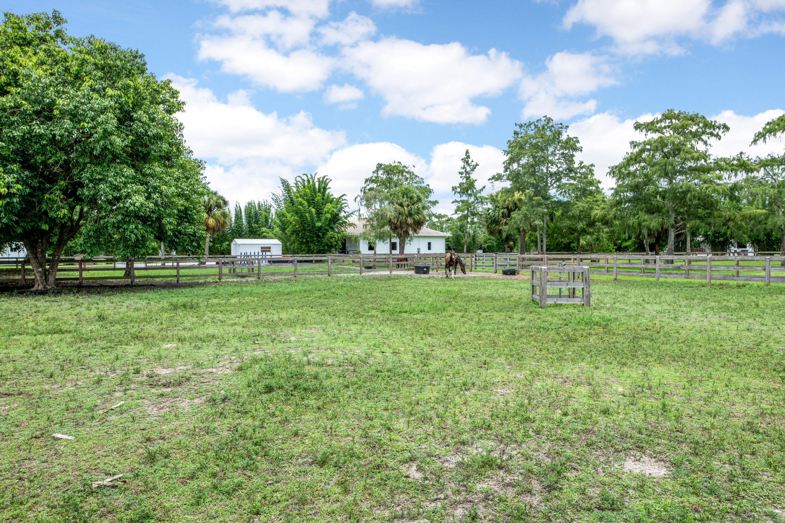 2381 Buck Ridge Trail