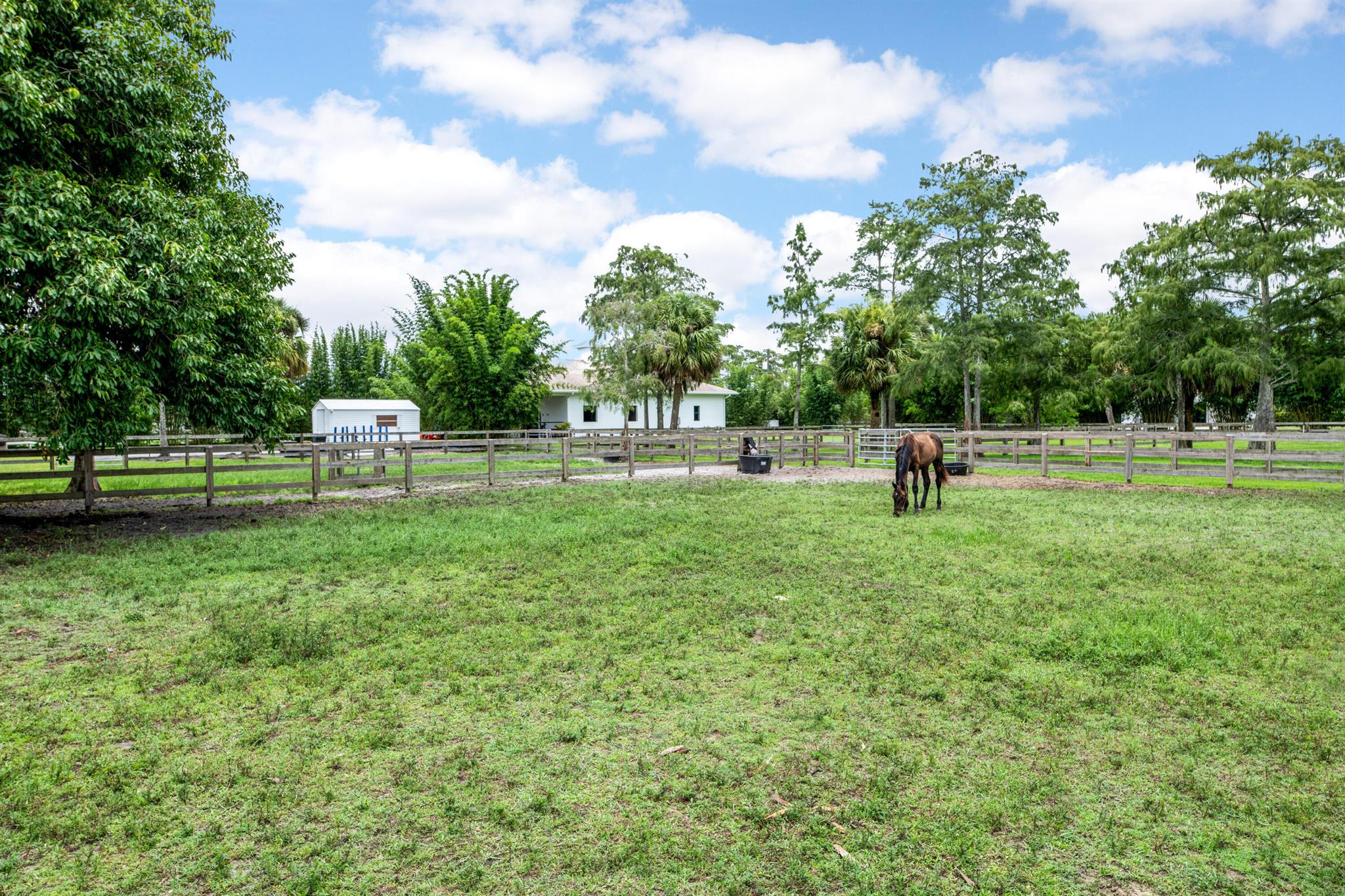 2381 Buck Ridge Trail
