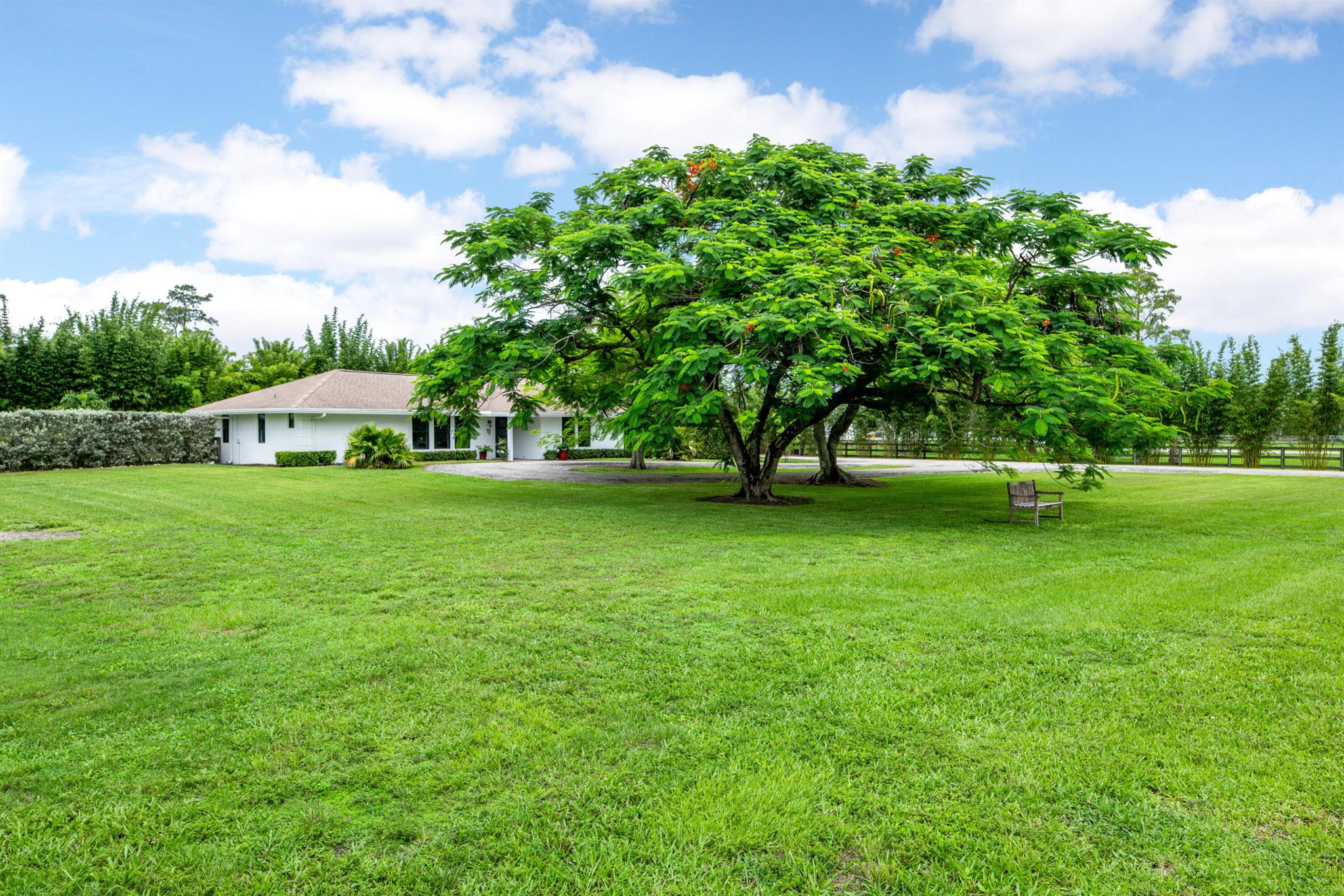 2381 Buck Ridge Trail