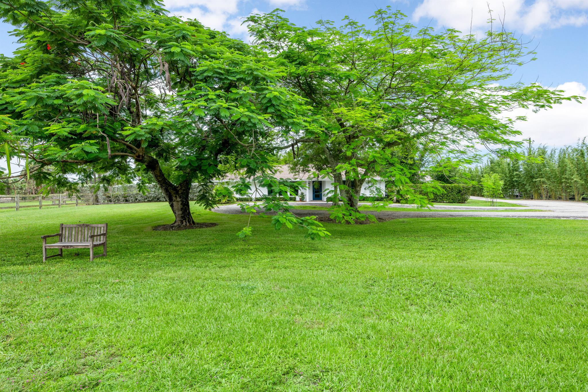 2381 Buck Ridge Trail