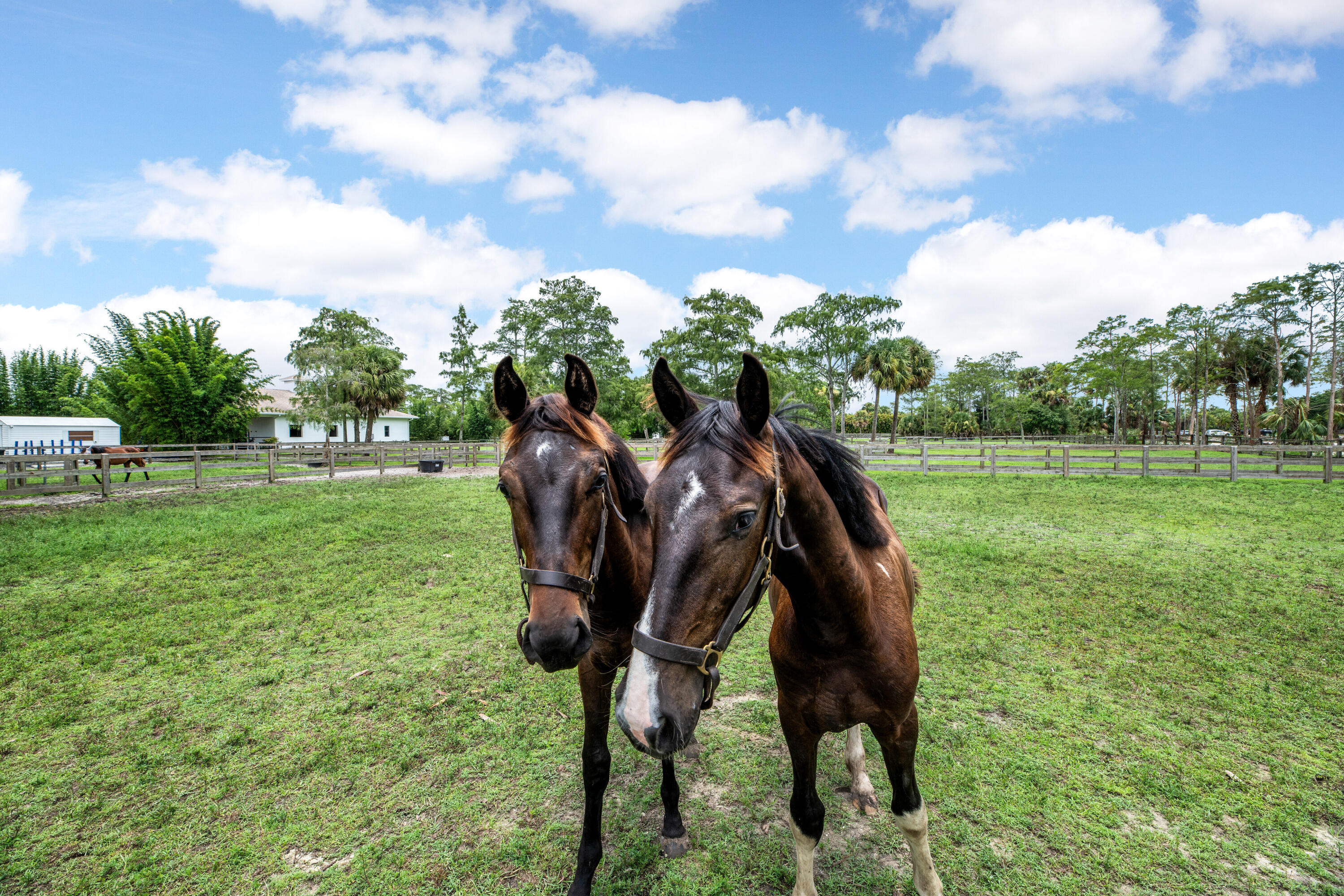 2381 Buck Ridge Trail