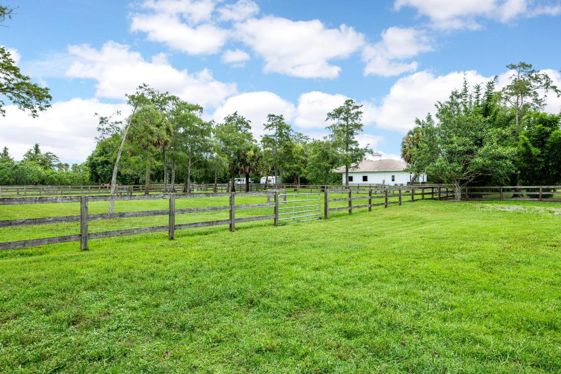 2381 Buck Ridge Trail