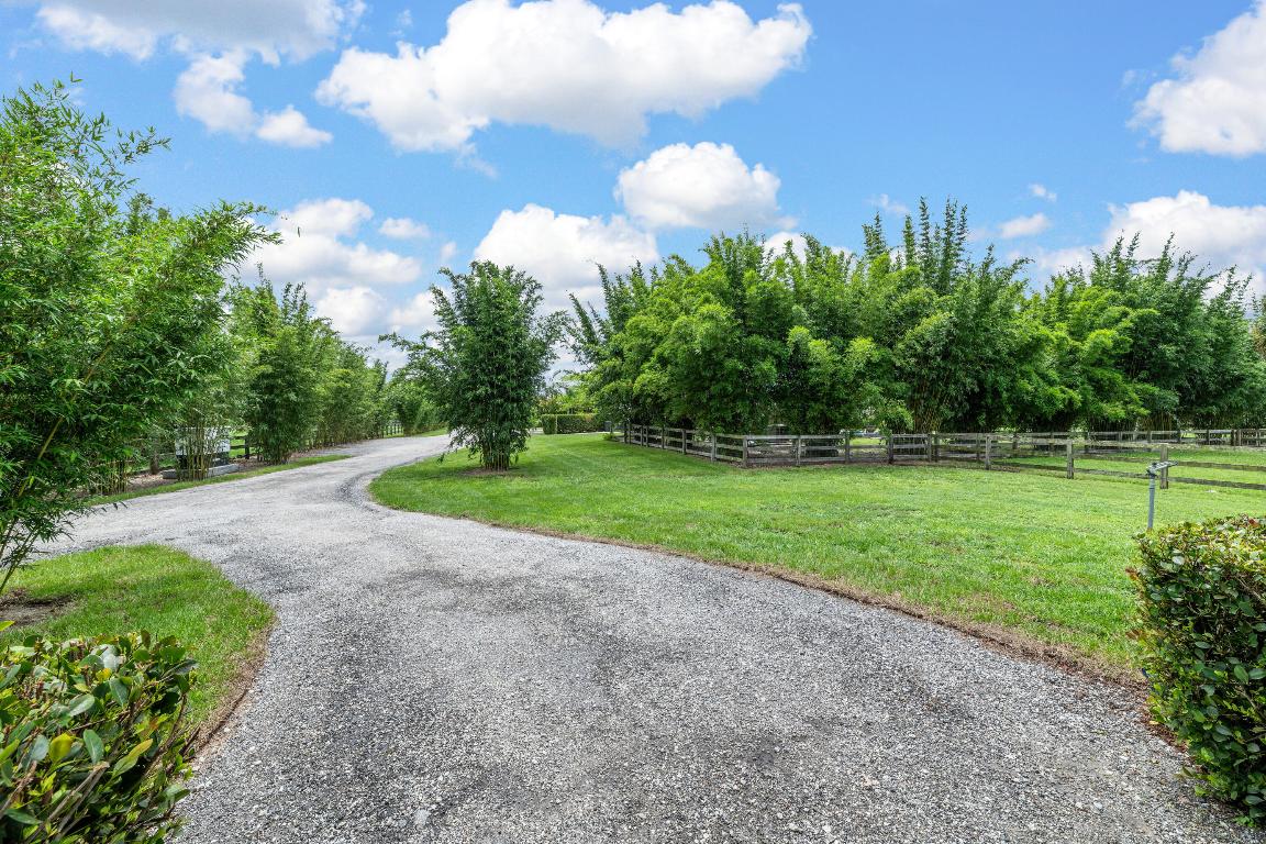 2381 Buck Ridge Trail