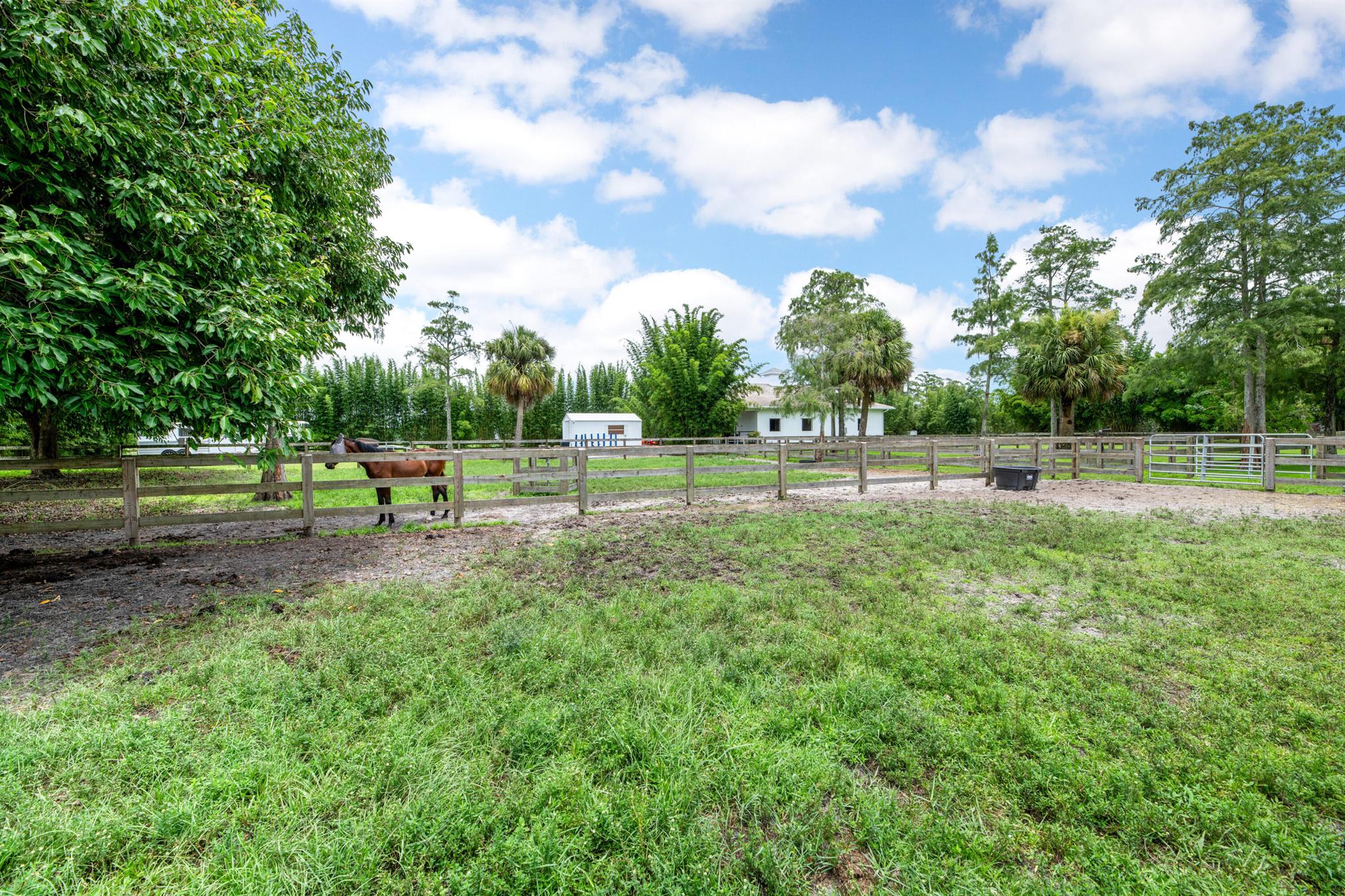 2381 Buck Ridge Trail