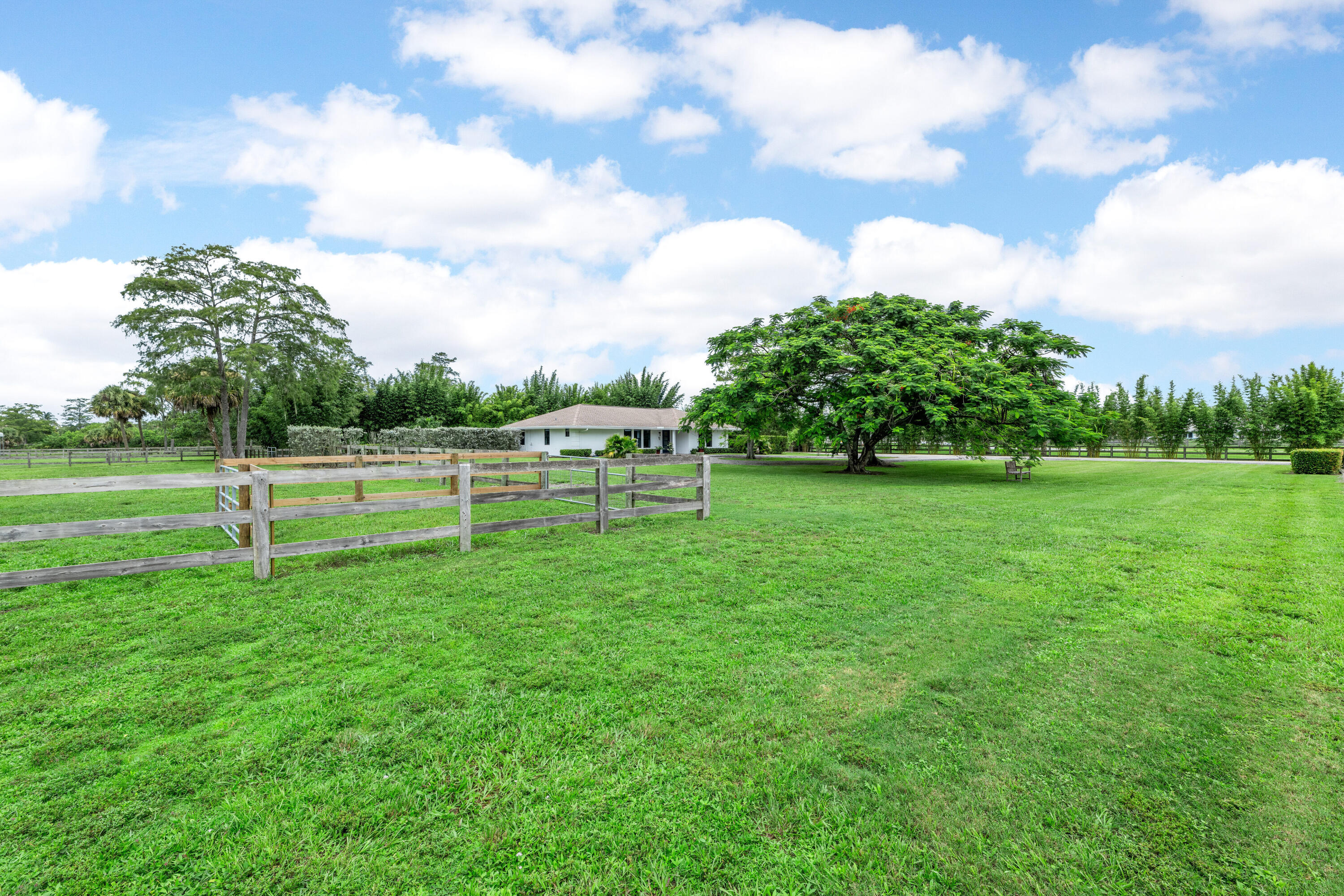 2381 Buck Ridge Trail