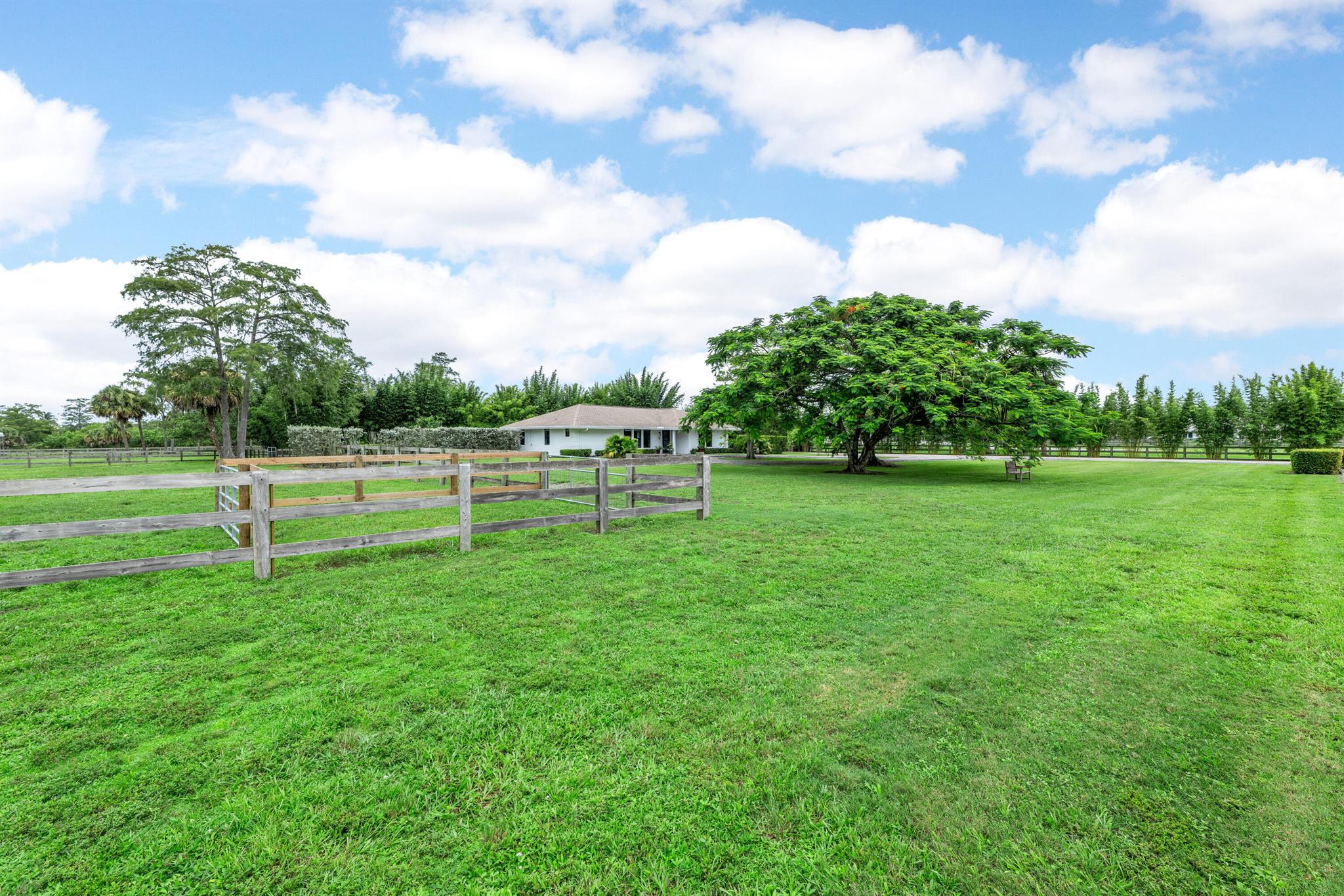 2381 Buck Ridge Trail