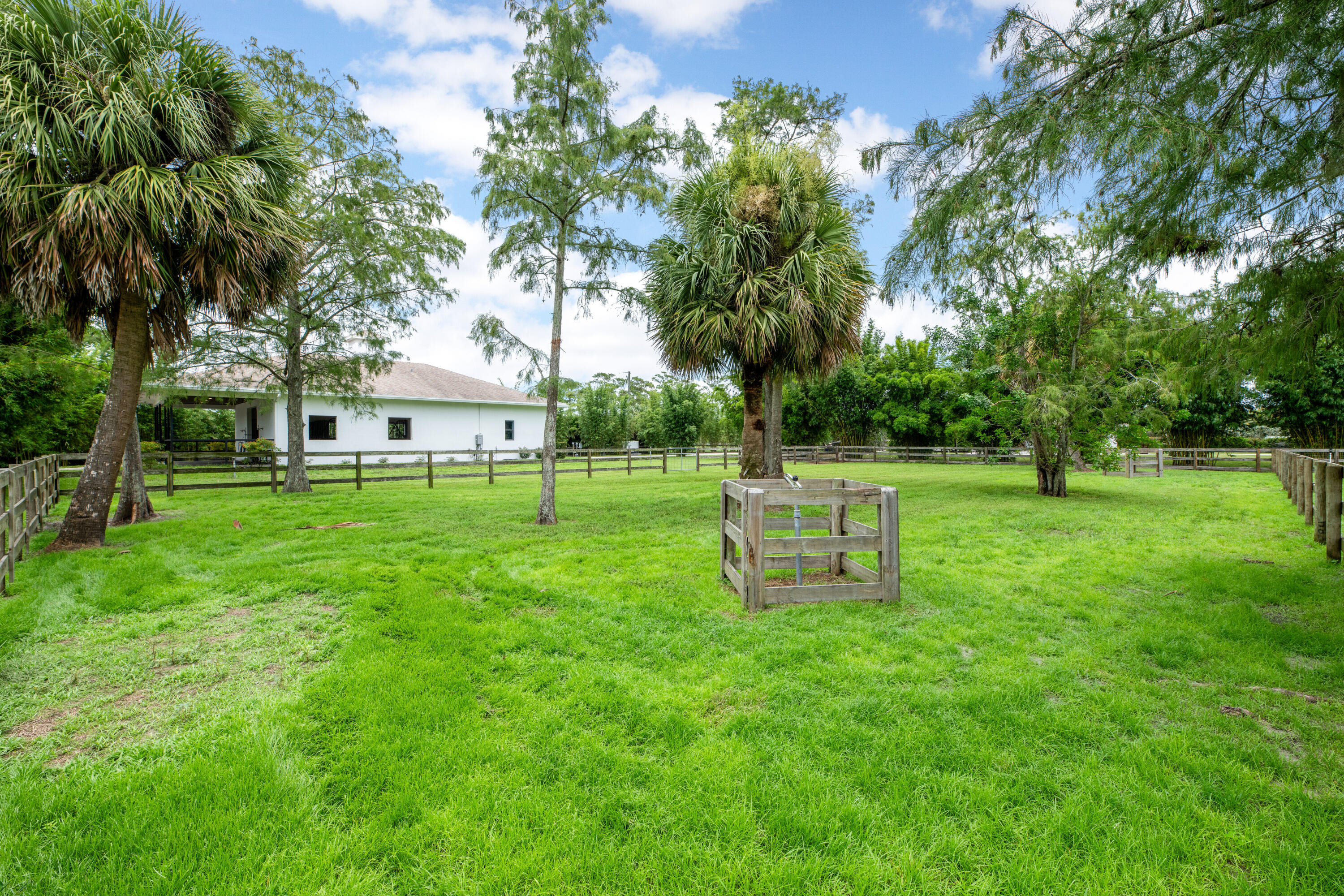 2381 Buck Ridge Trail