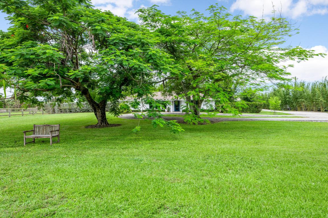 2381 Buck Ridge Trail