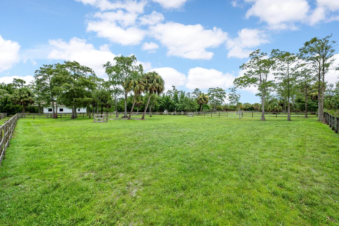 2381 Buck Ridge Trail