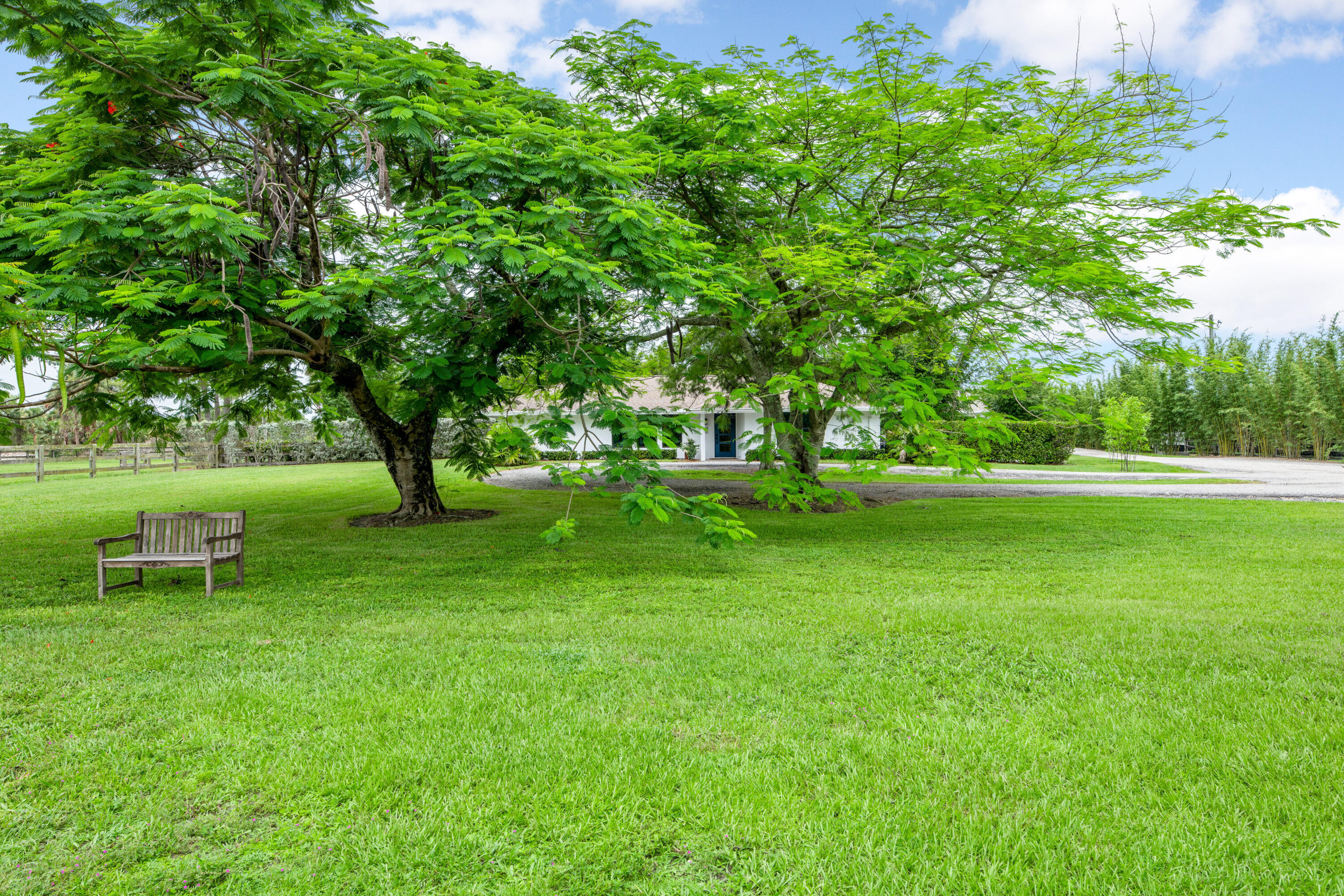 2381 Buck Ridge Trail