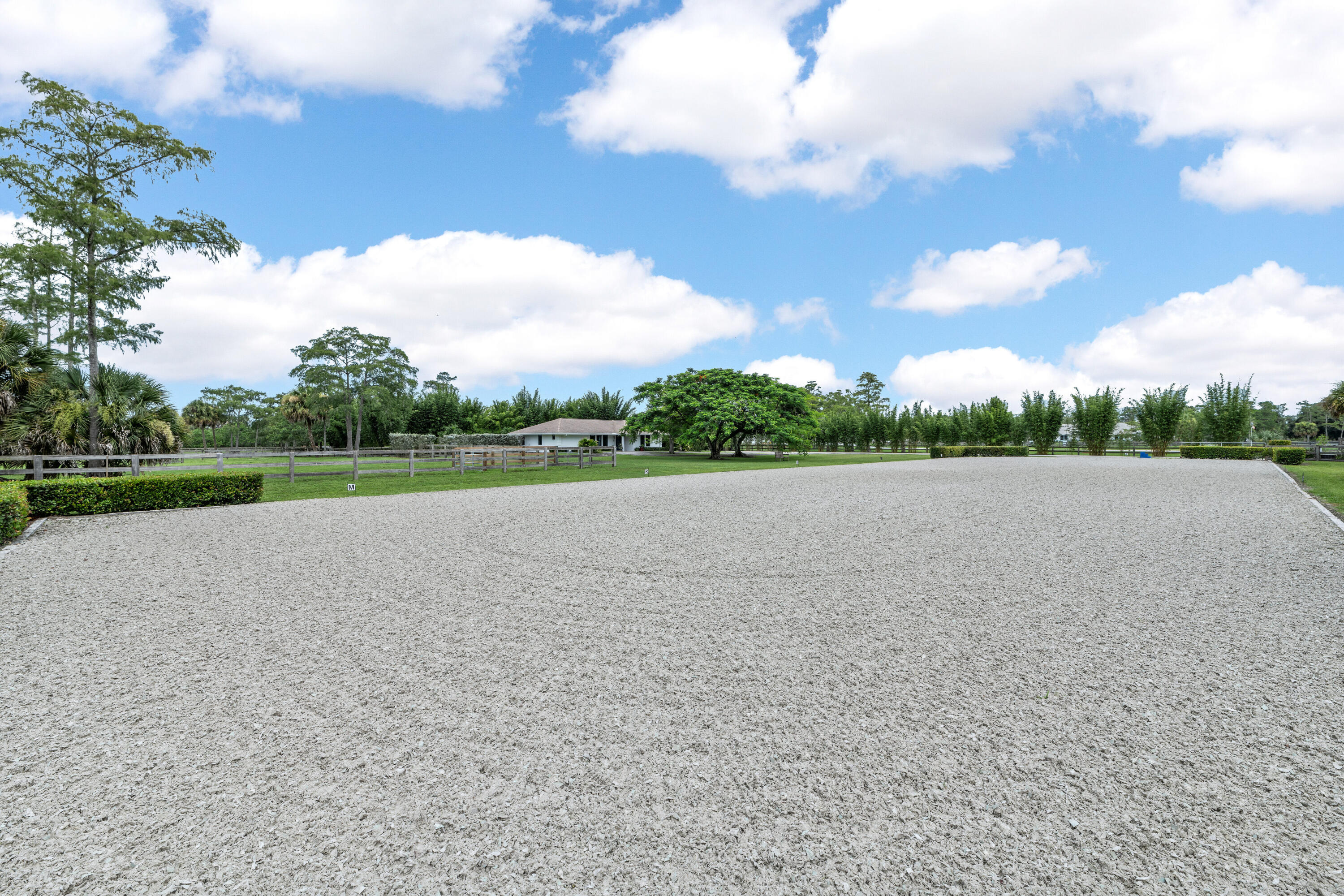 2381 Buck Ridge Trail