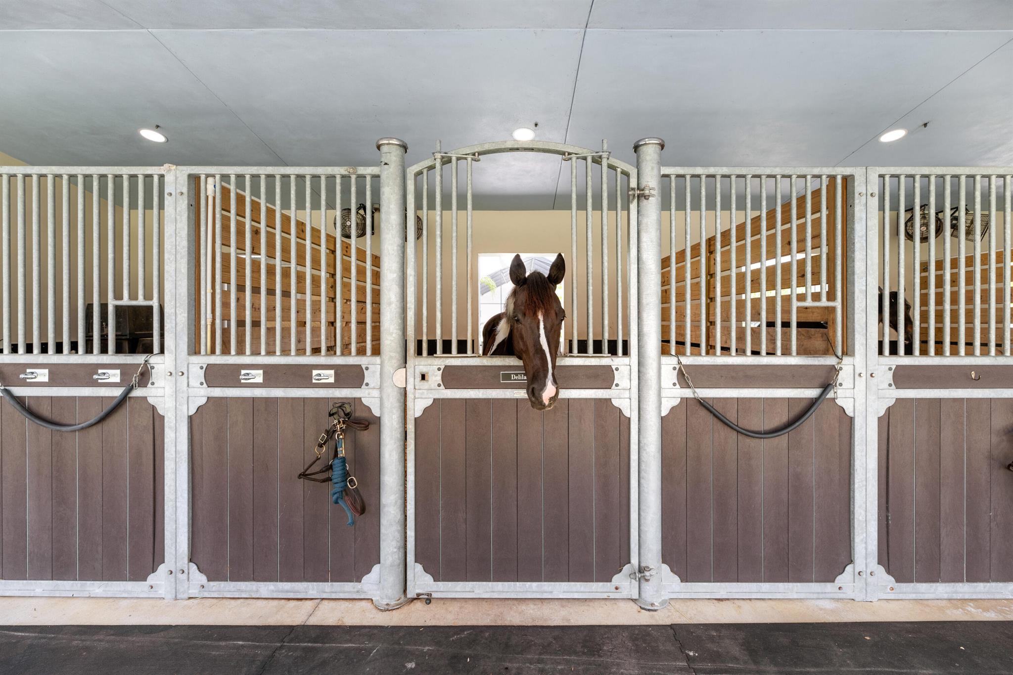 1464 Stallion Drive E