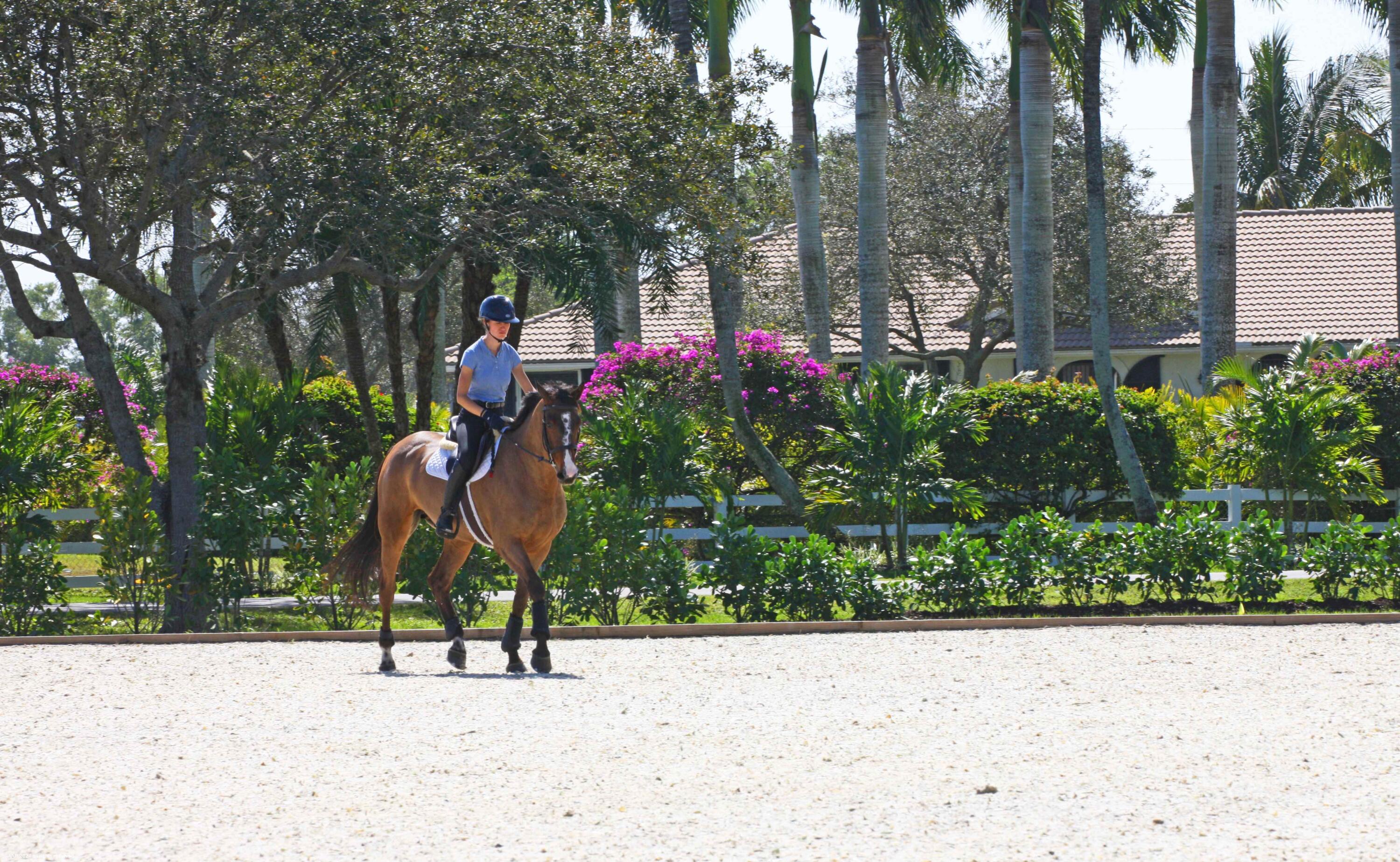 15293 Sunnyland Lane