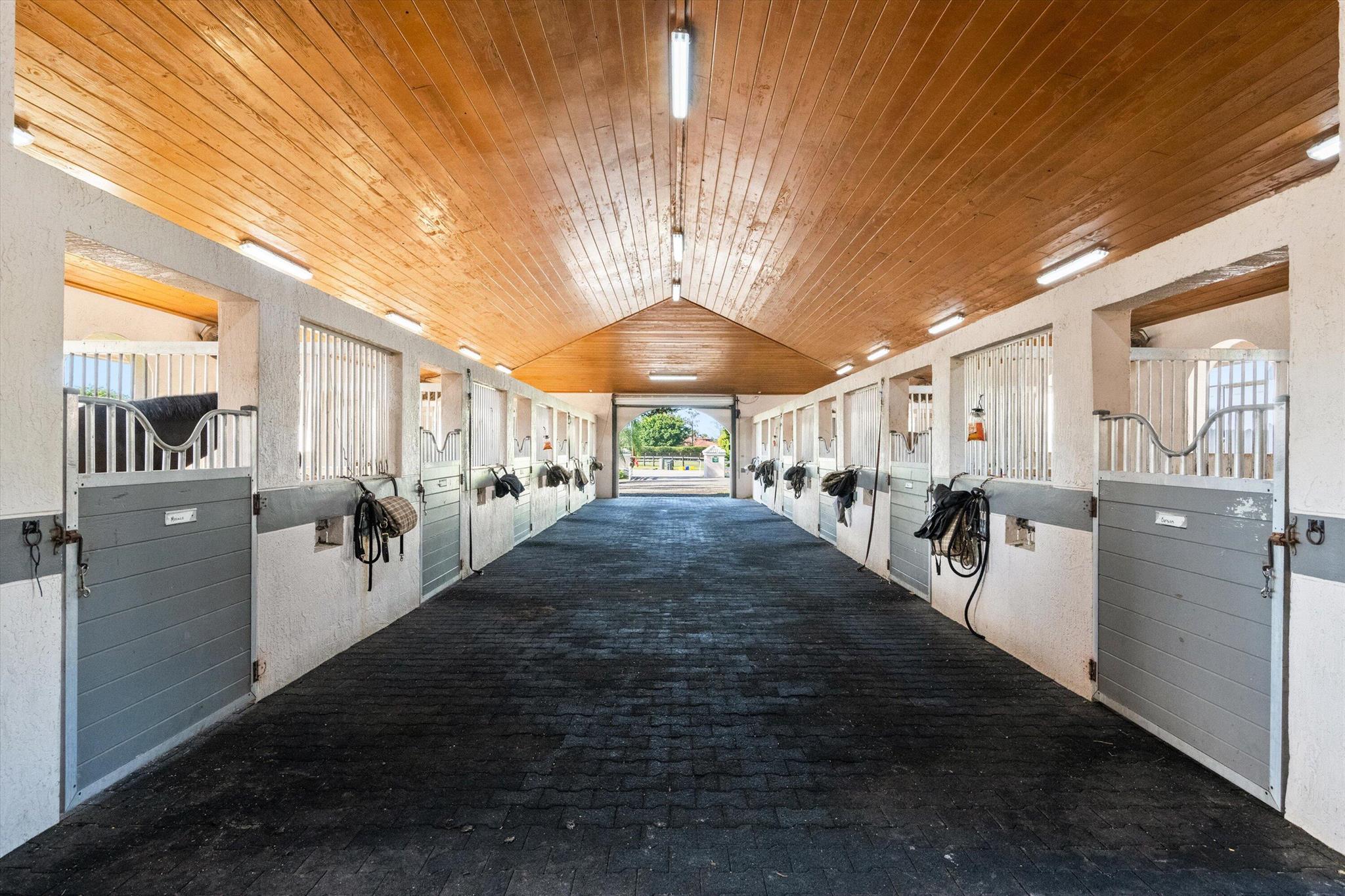 14155 Equestrian Way