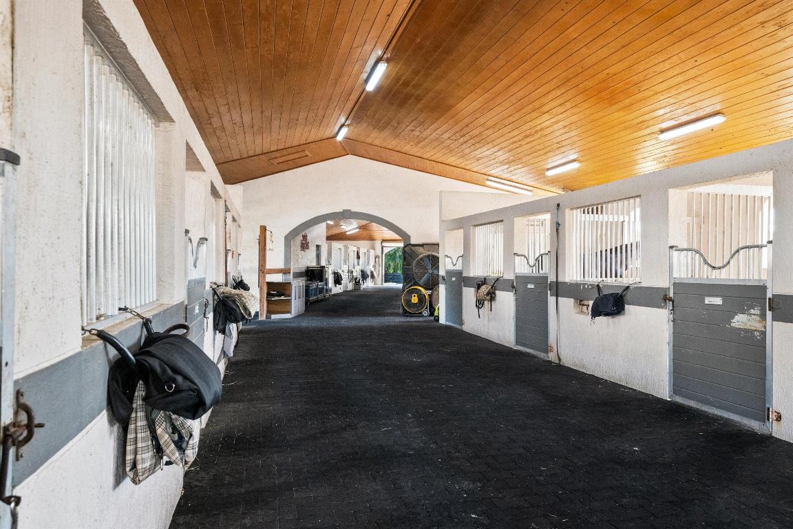 14155 Equestrian Way