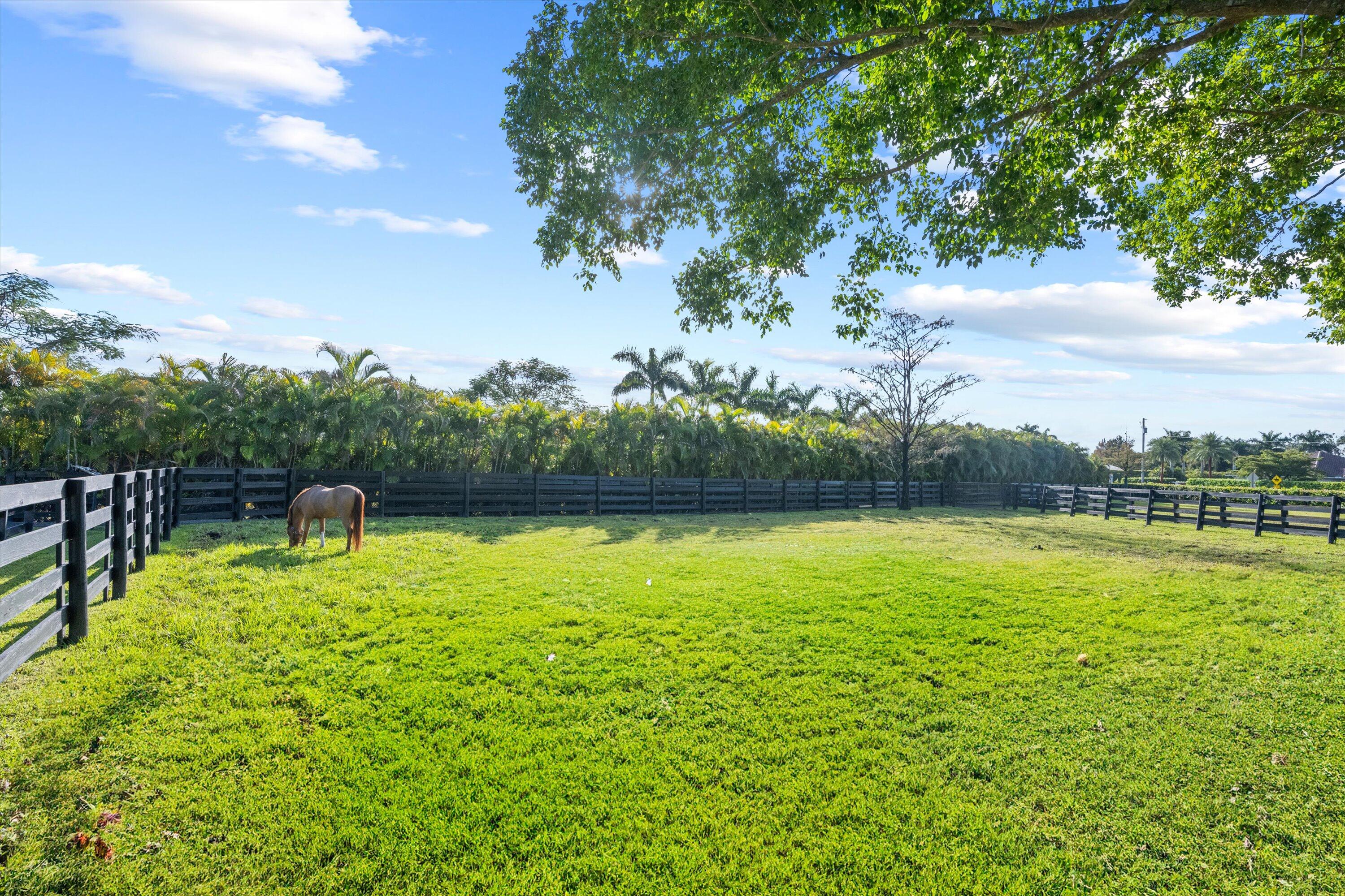 14155 Equestrian Way