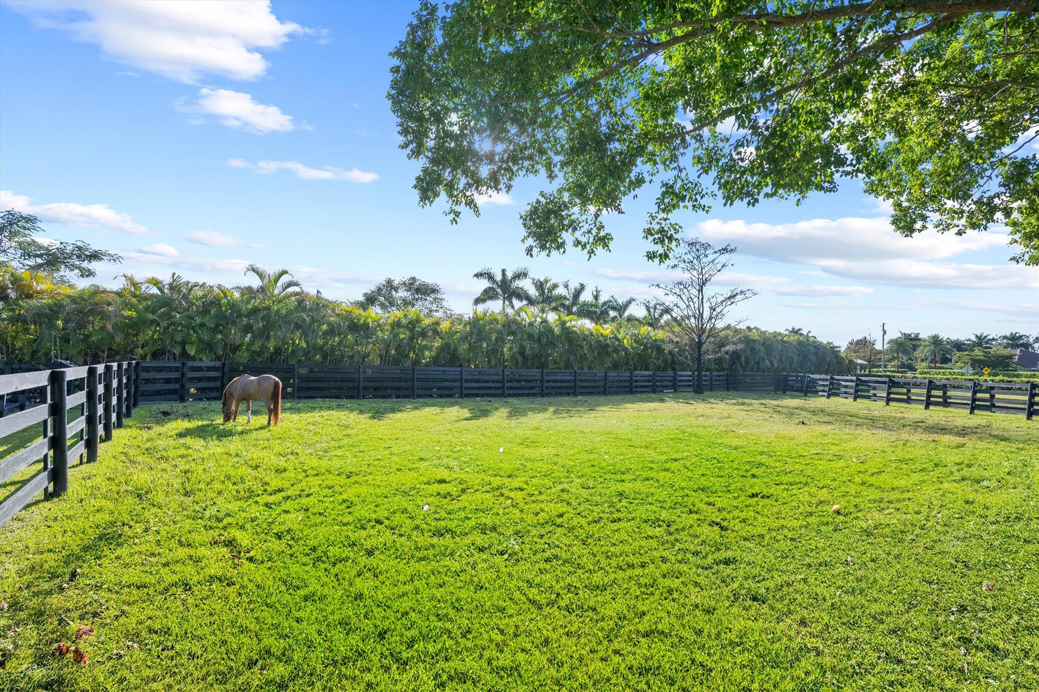 14155 Equestrian Way