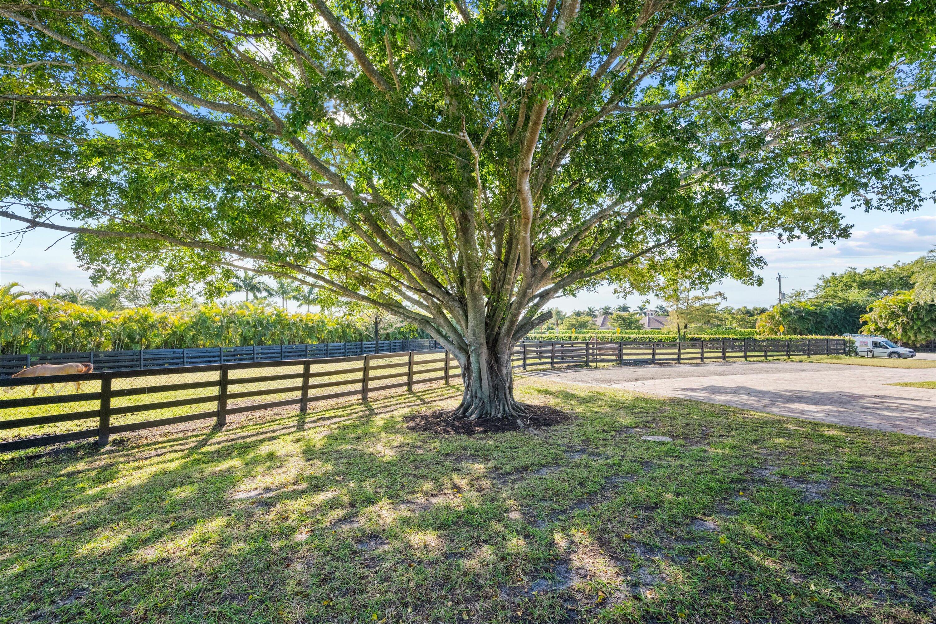 14155 Equestrian Way