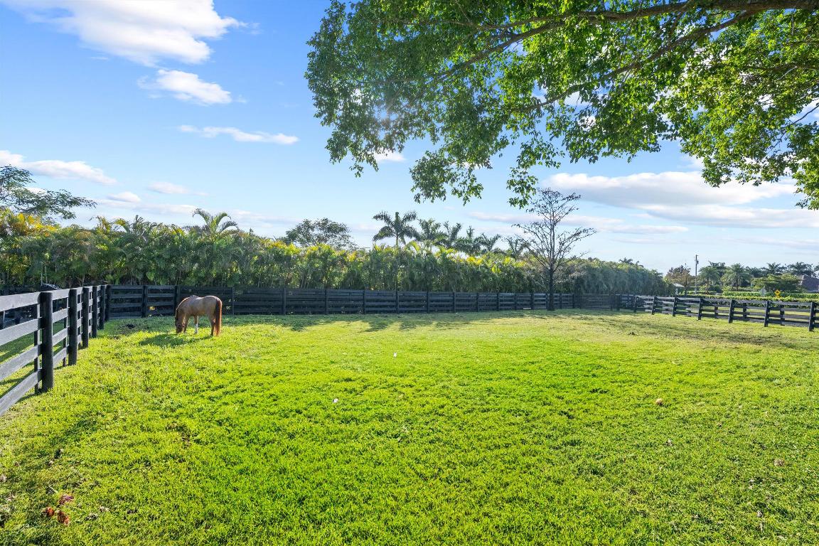 14155 Equestrian Way