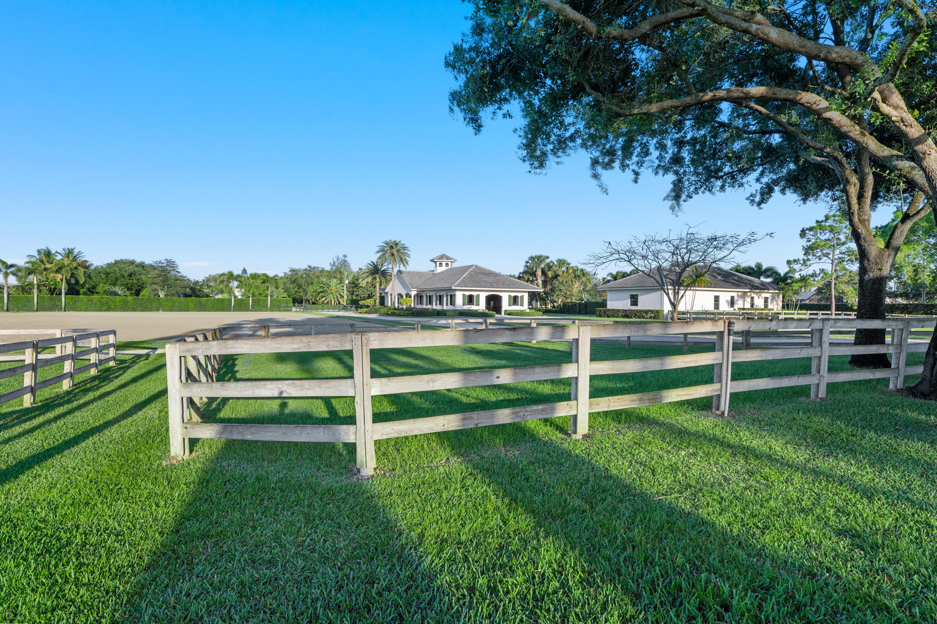 14169 Belmont Trace
