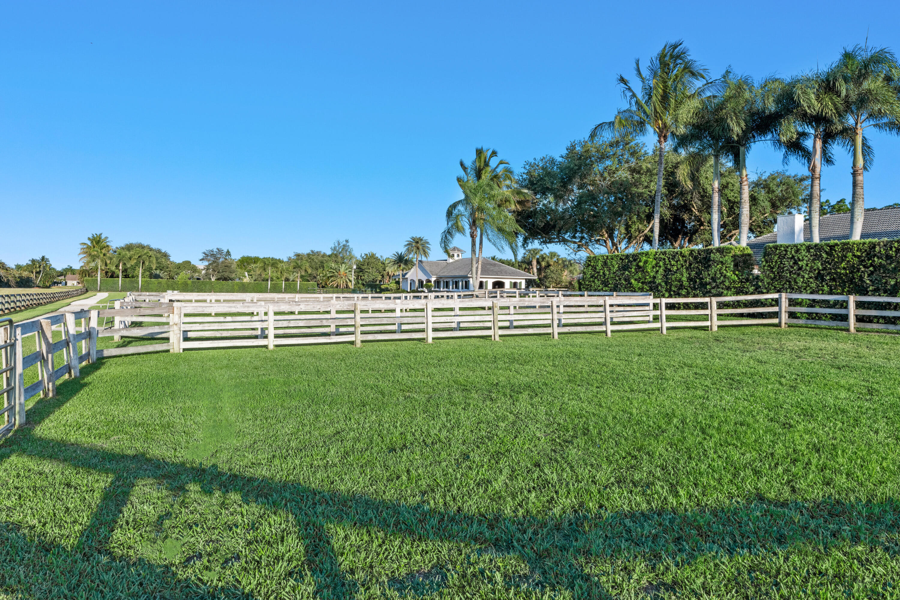 14169 Belmont Trace