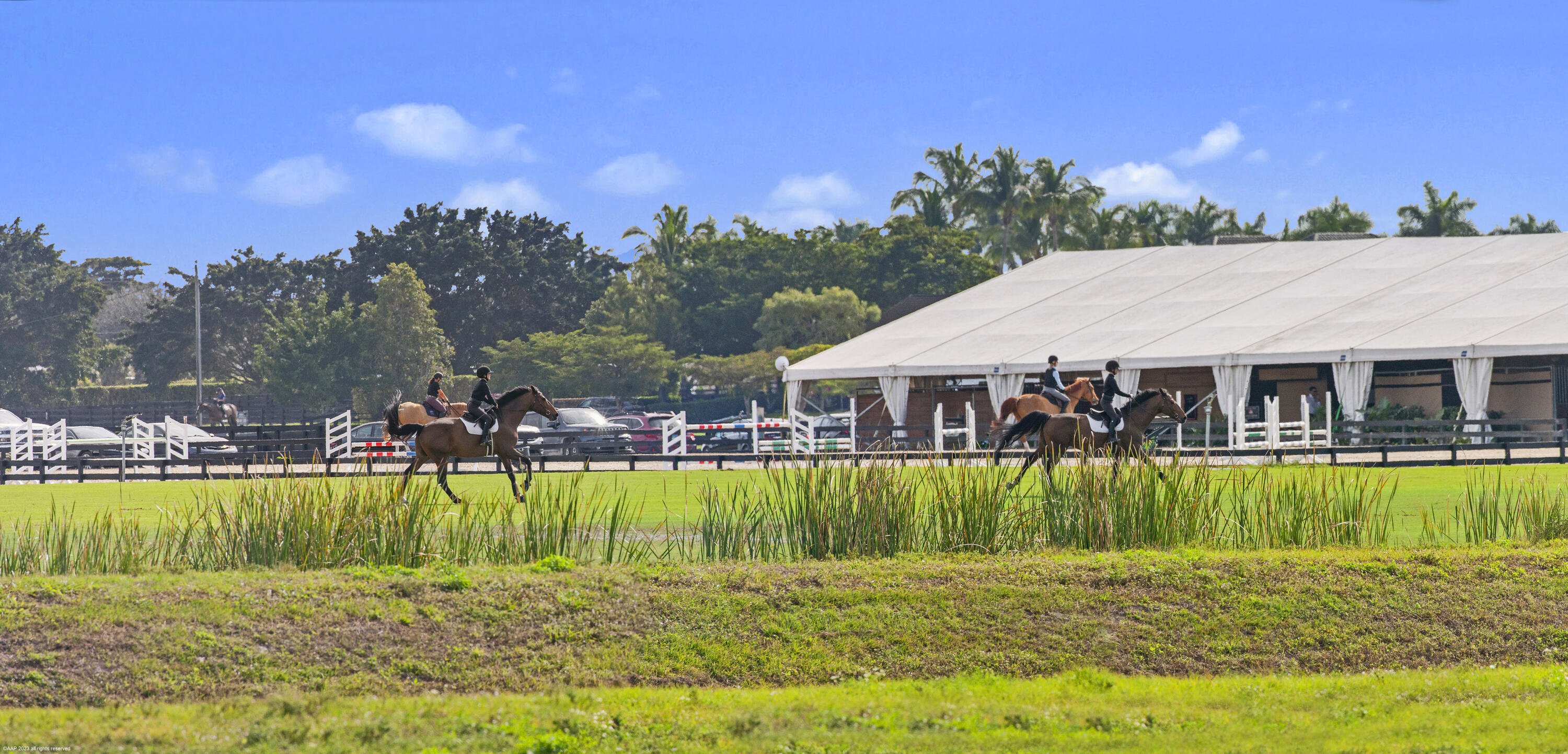 14775 Equestrian Way