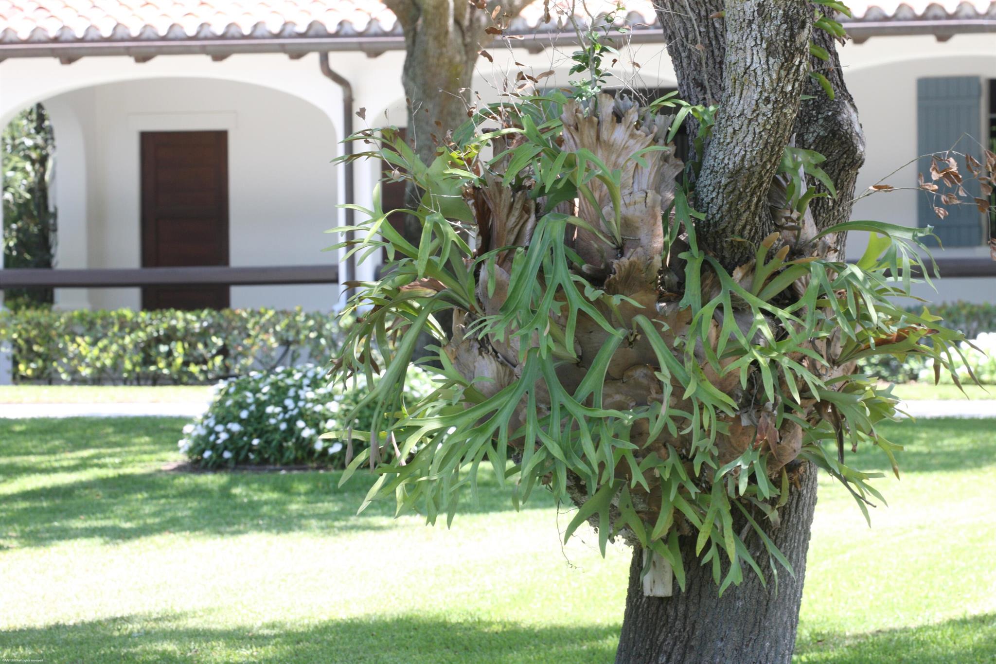 14775 Equestrian Way