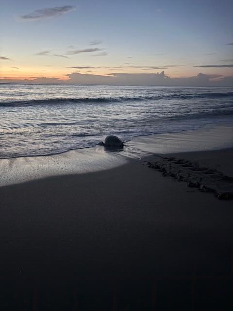 622 Inlet Waters Circle