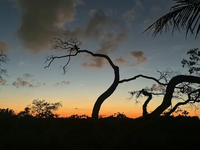 622 Inlet Waters Circle