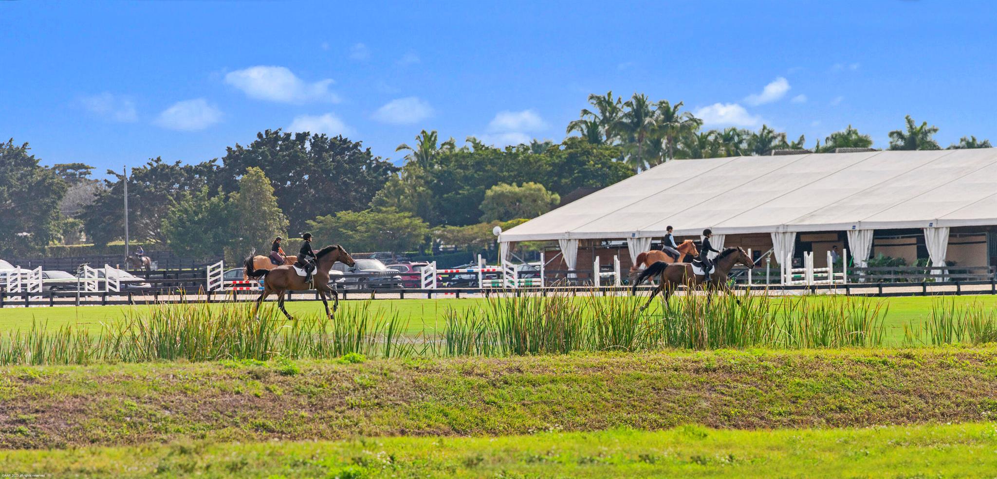 14775 Equestrian Way