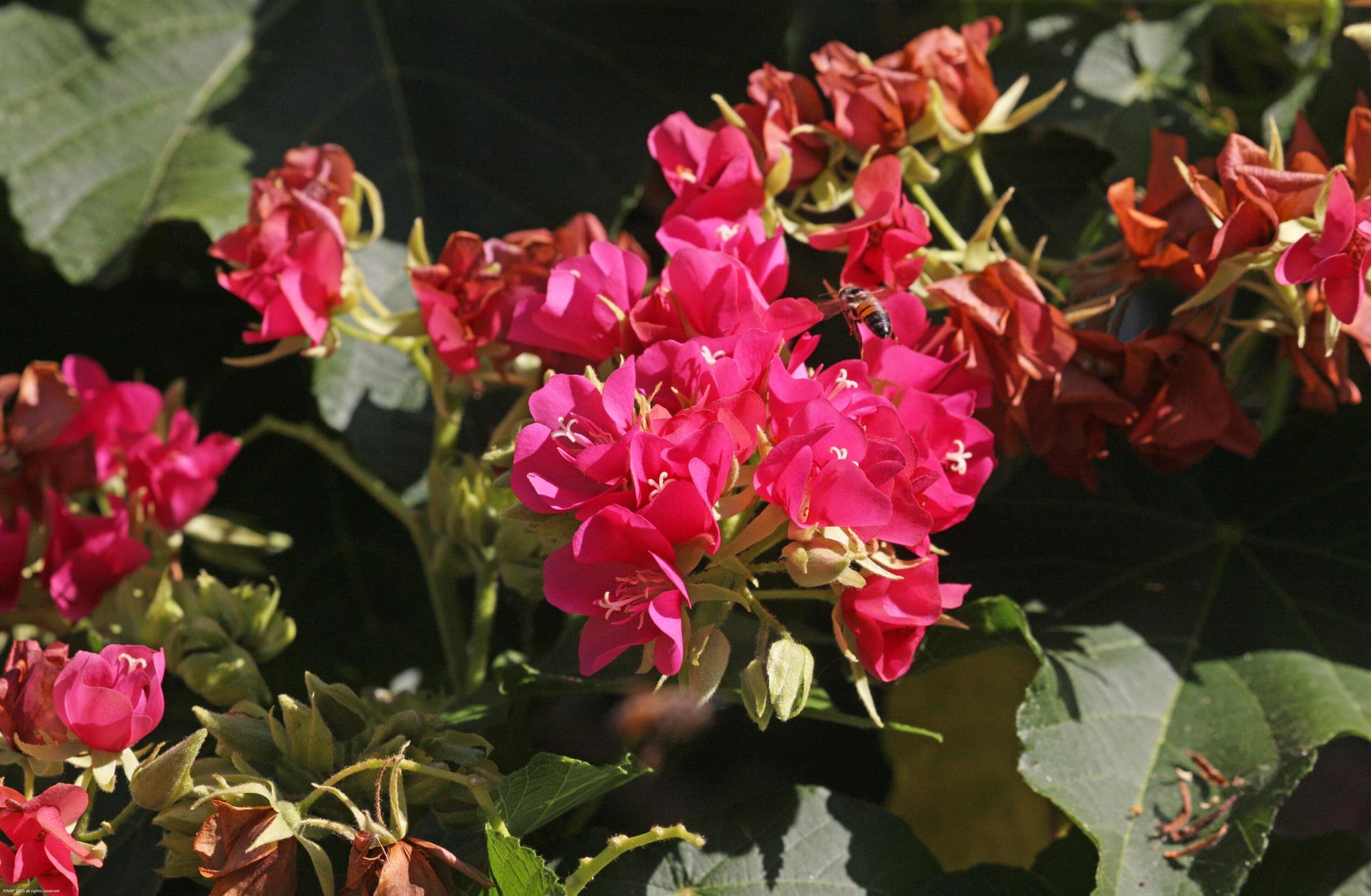 14775 Equestrian Way