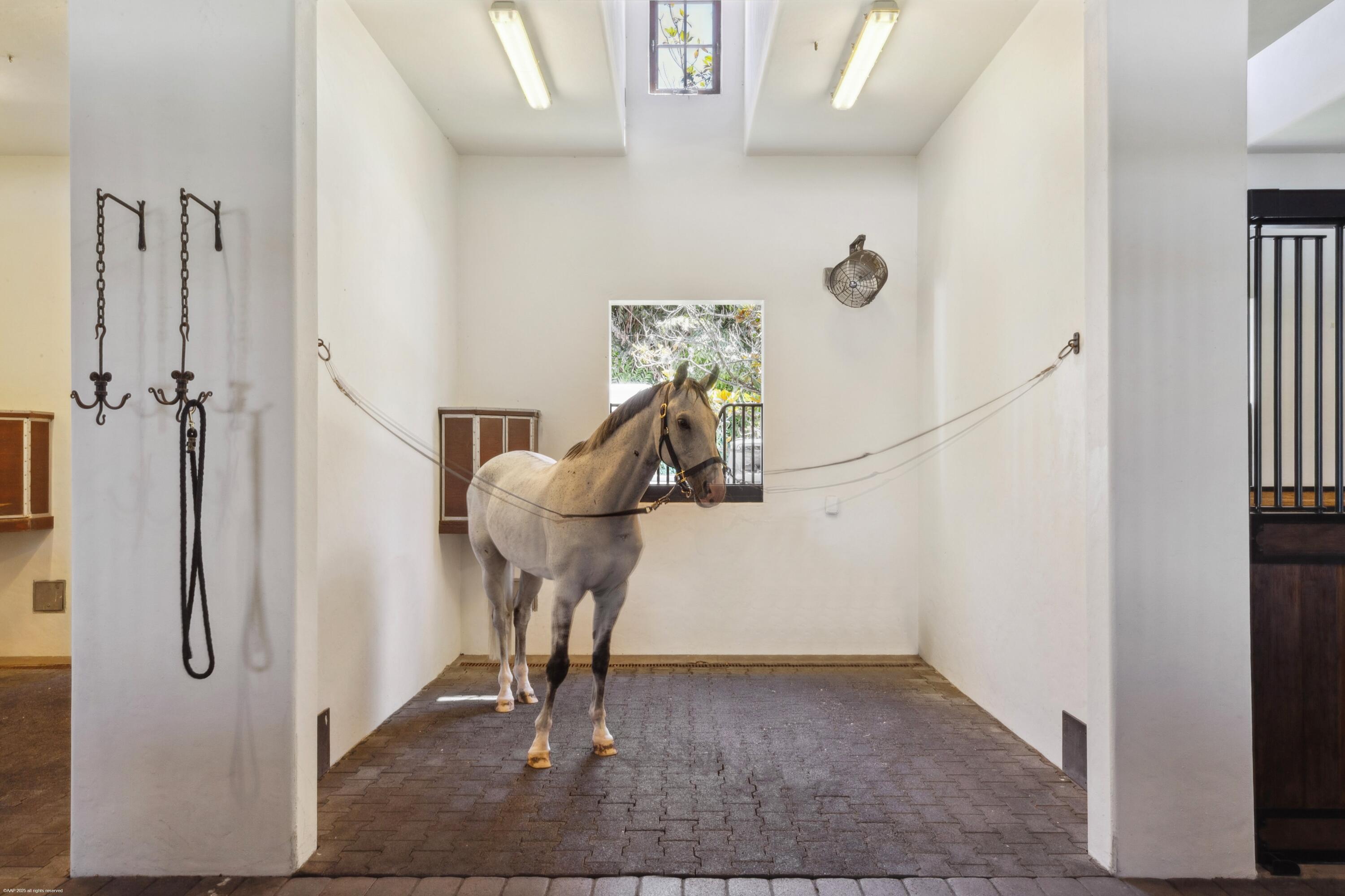 14775 Equestrian Way Stalls