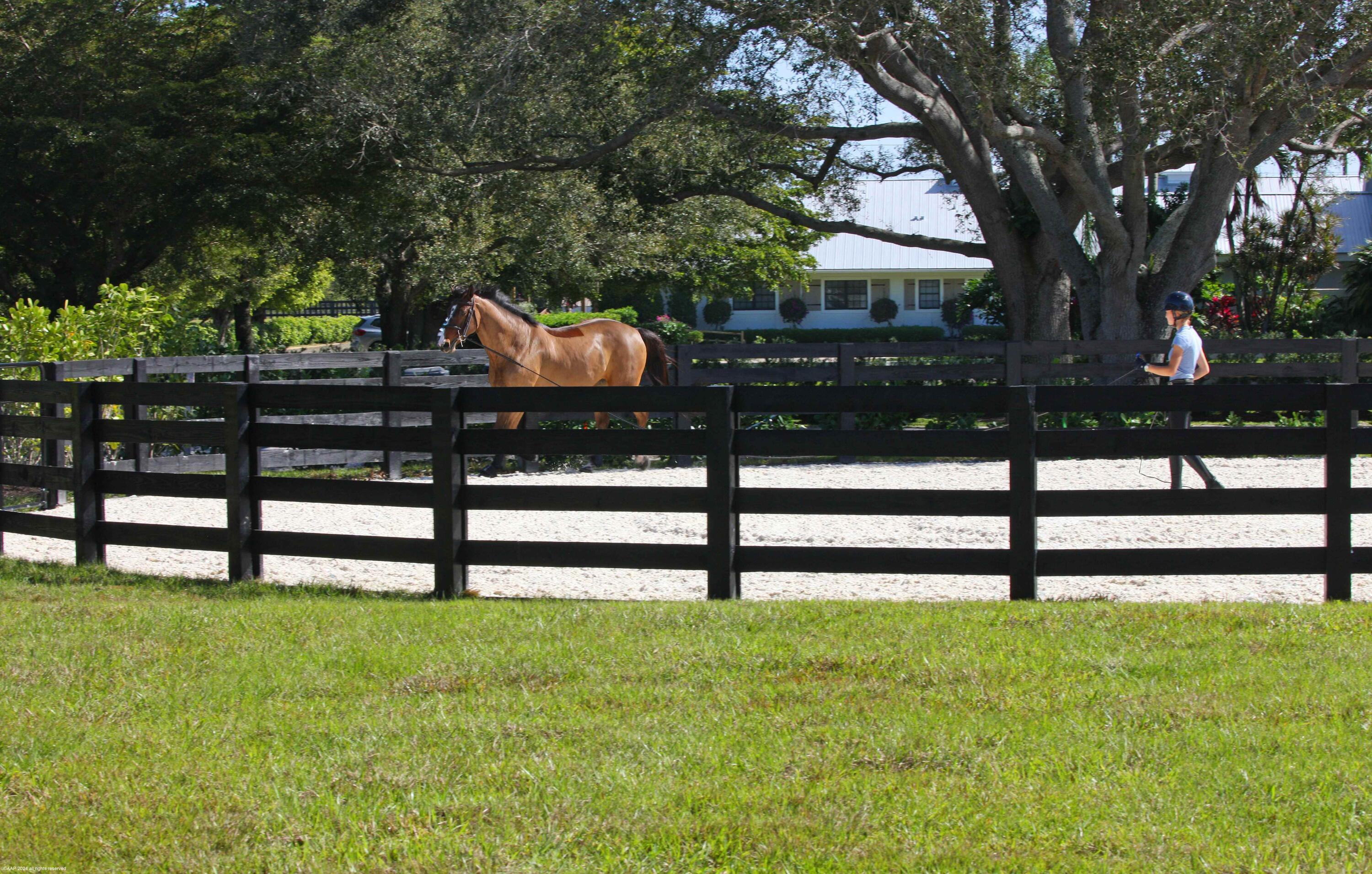 15293 Sunnyland Lane