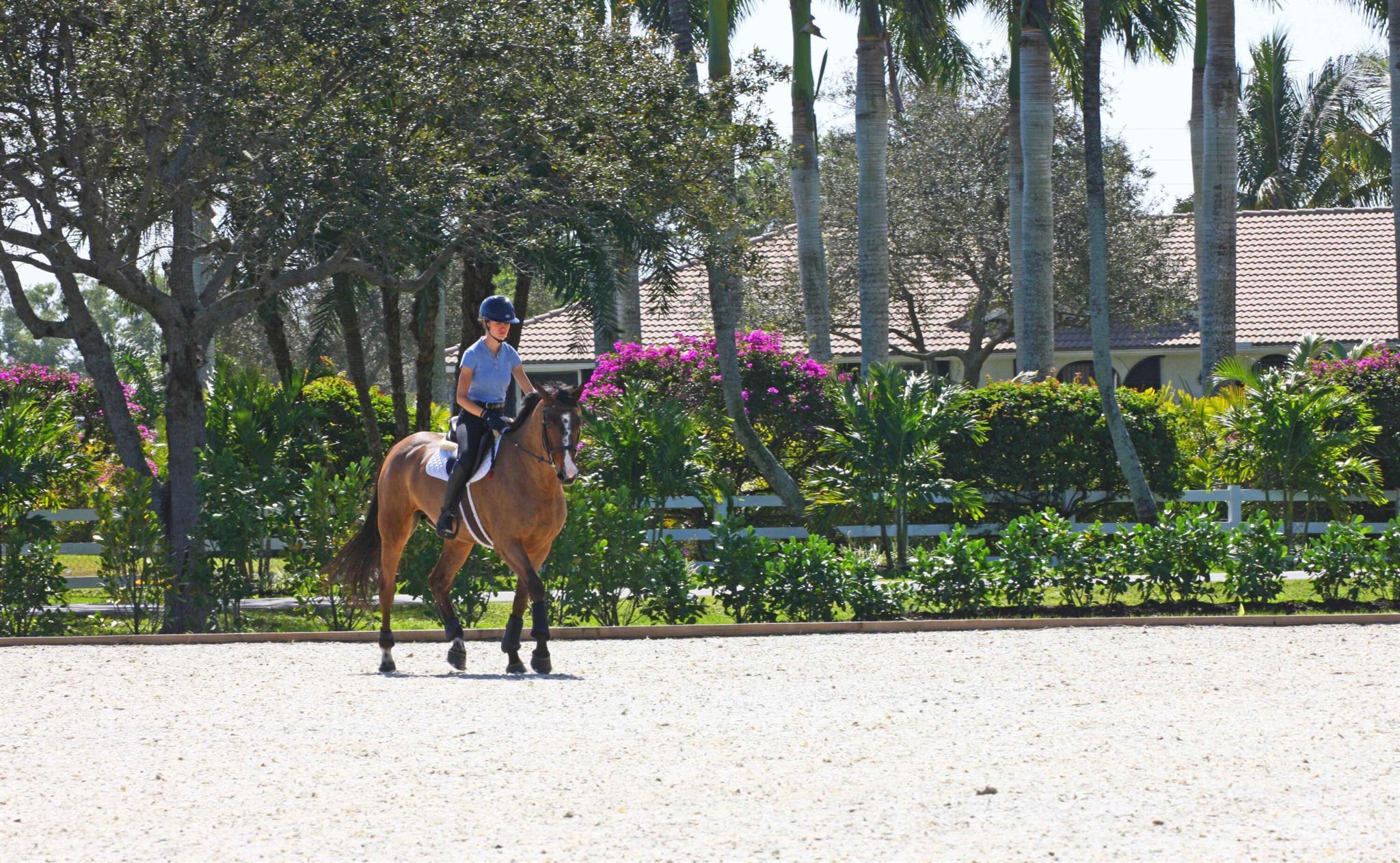 15293 Sunnyland Lane