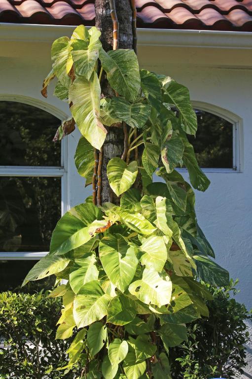 12593 Mallet Circle, Wellington