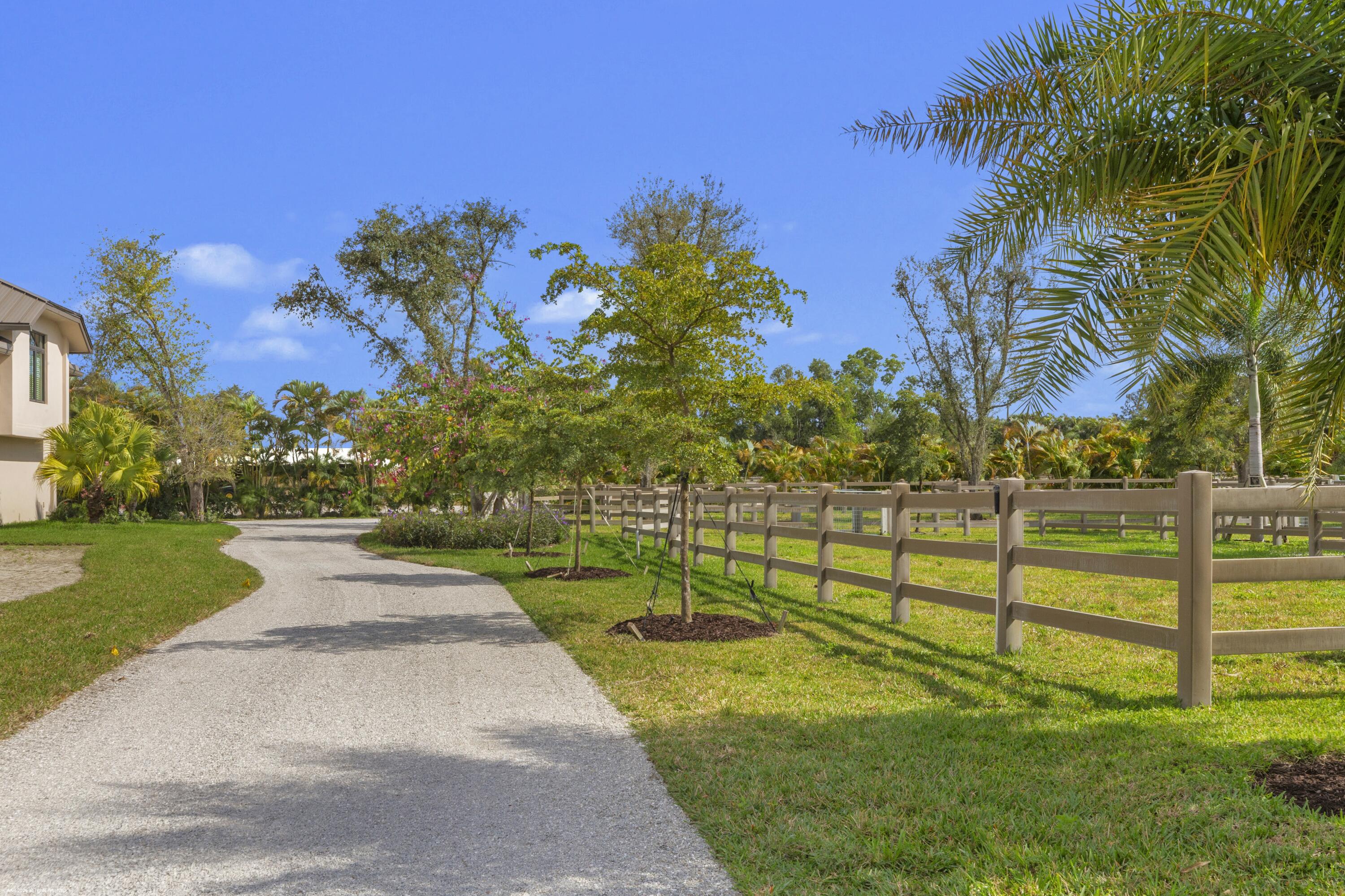 16219 Hollow Tree Lane